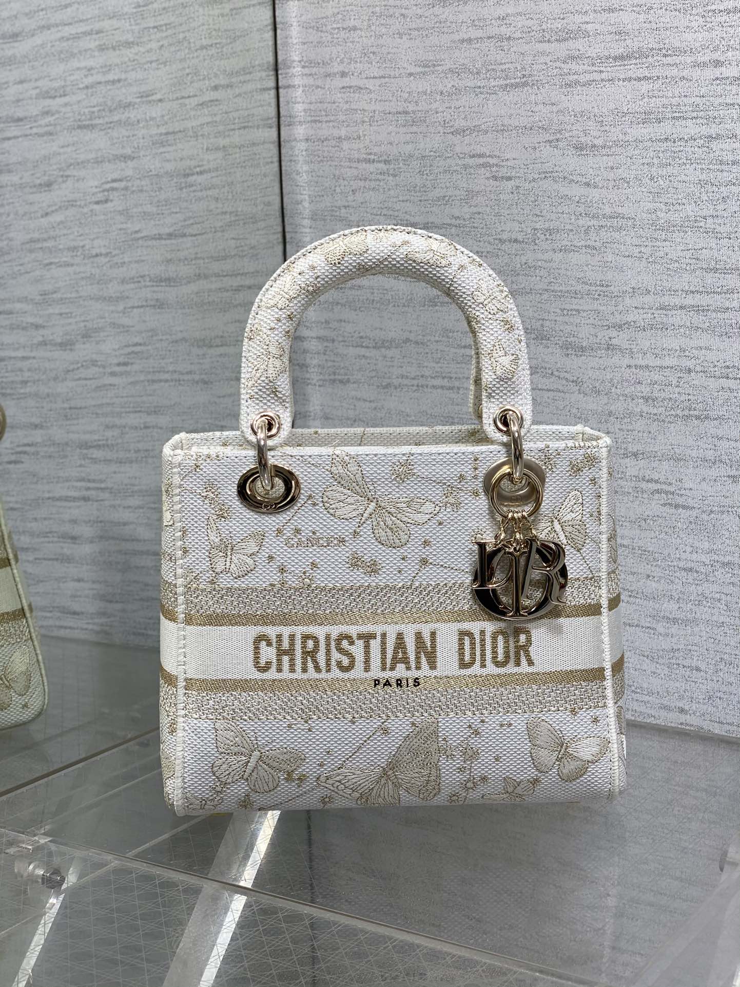 BAG-DIOR-W-LY-448