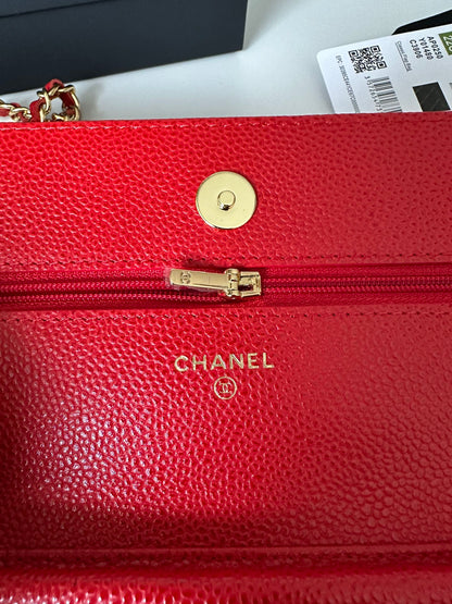 BAG-CHANEL-541