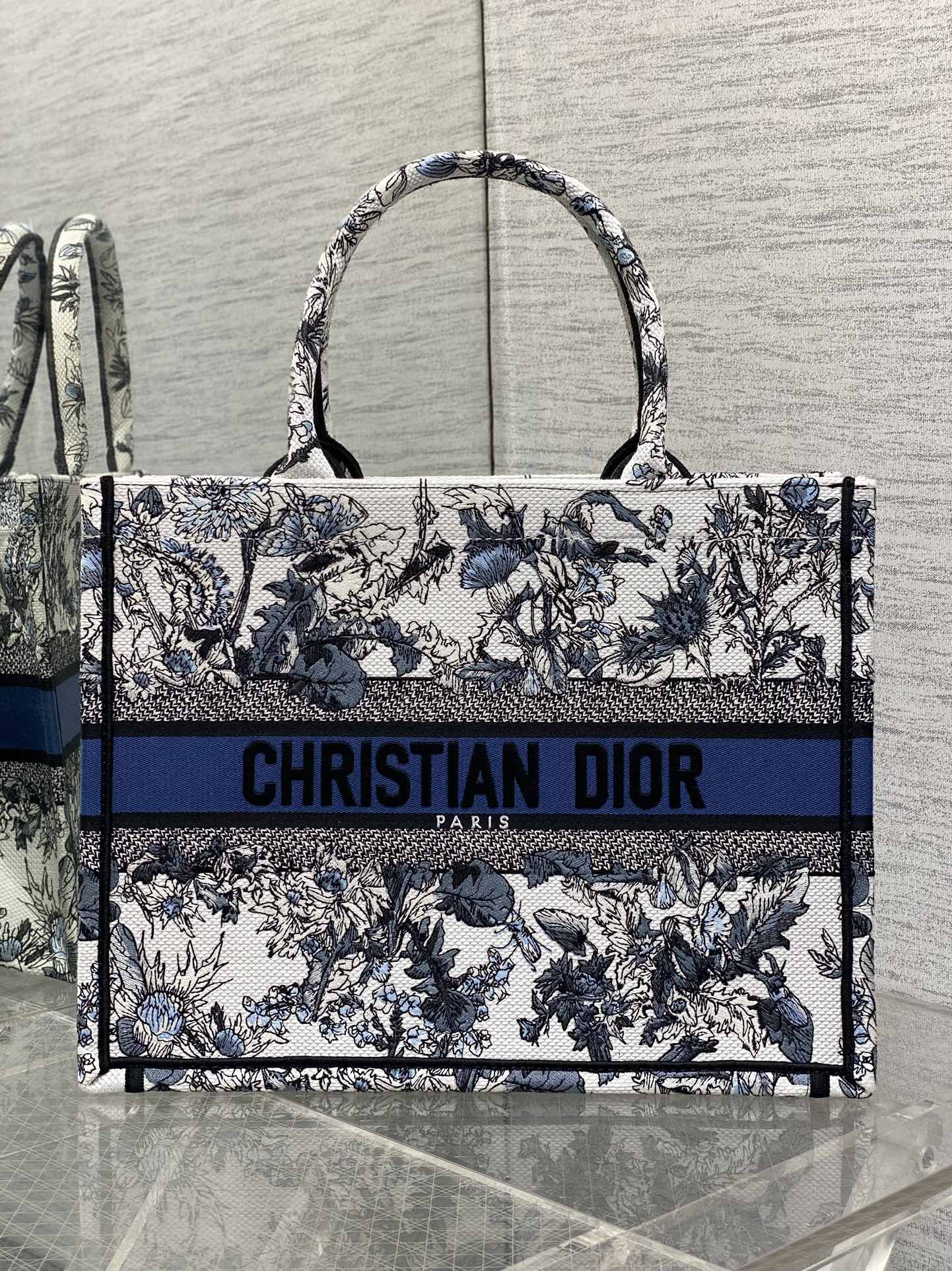 BAG-DIOR-W-LY-203