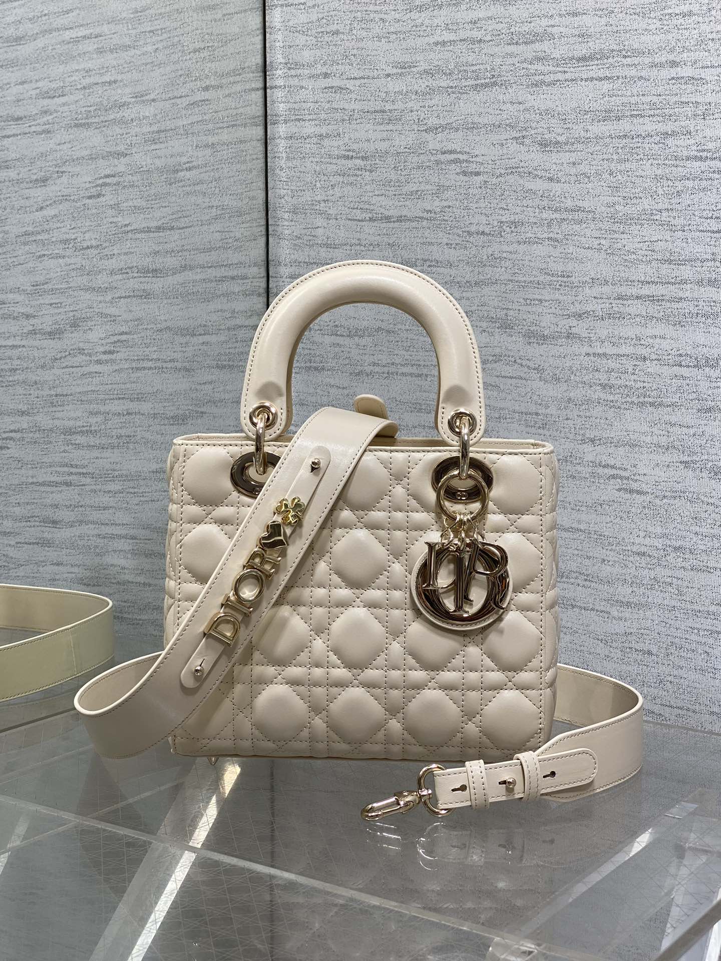BAG-DIOR-W-LY-735