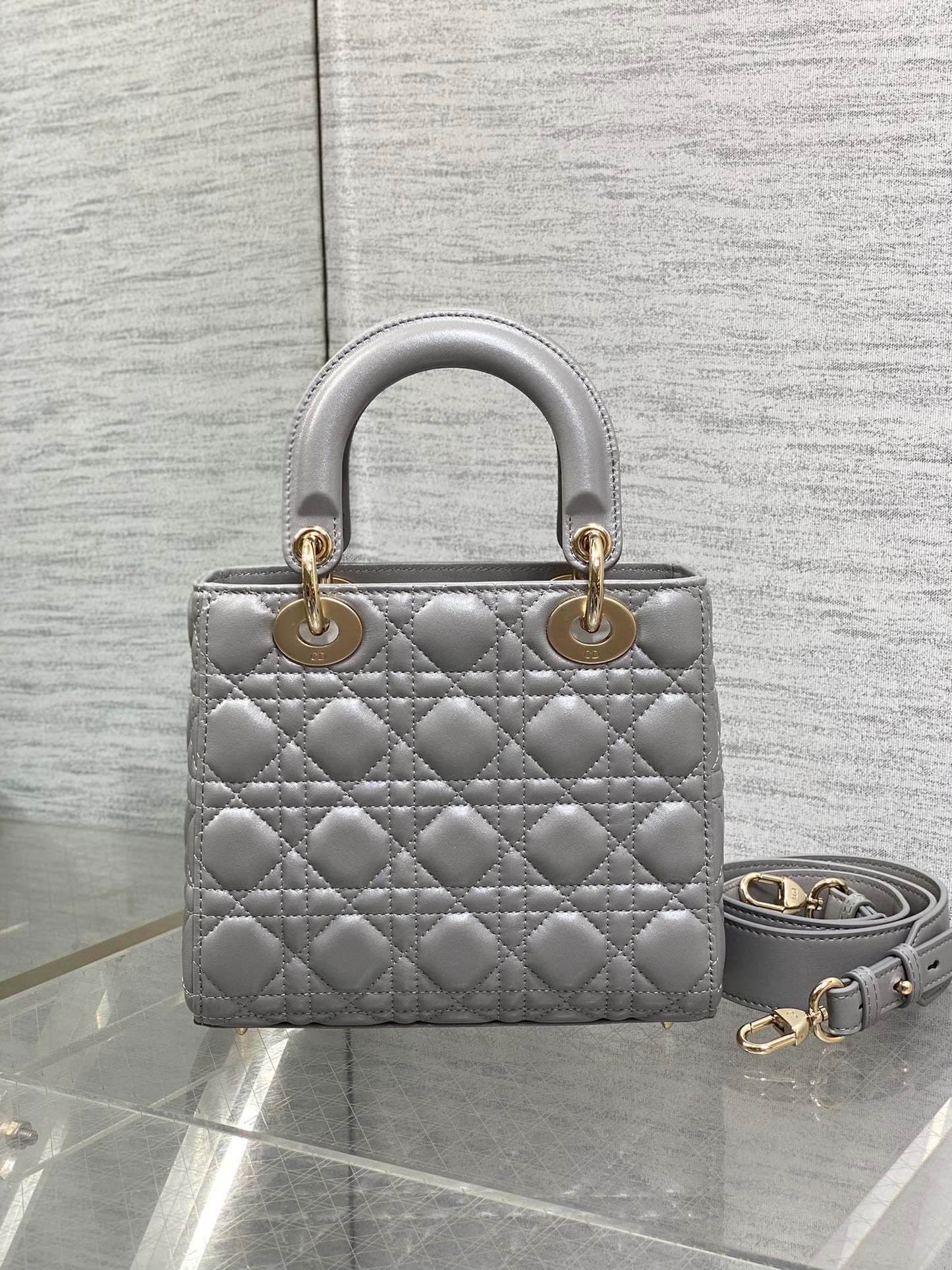 BAG-DIOR-W-LY-770
