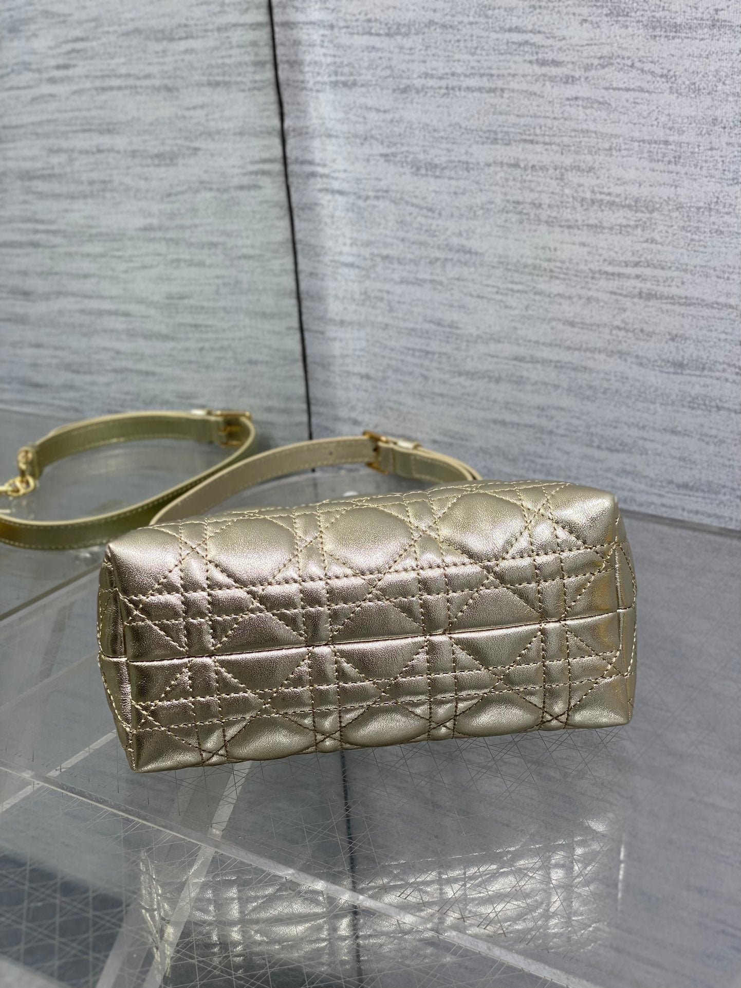 BAG-DIOR-W-LY-026
