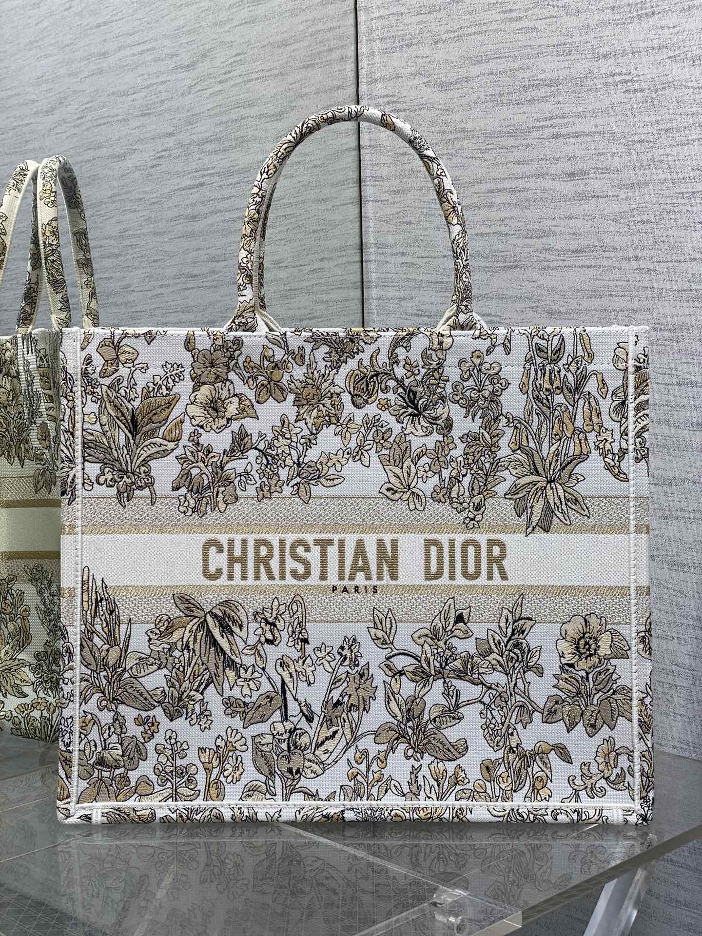 BAG-DIOR-W-LY-839