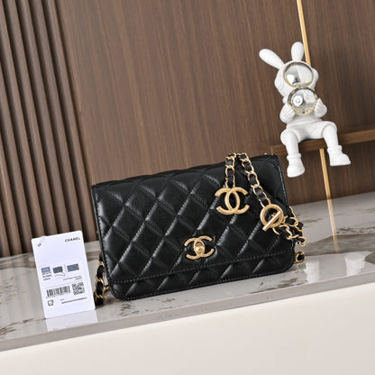 BAG-CHANEL-070