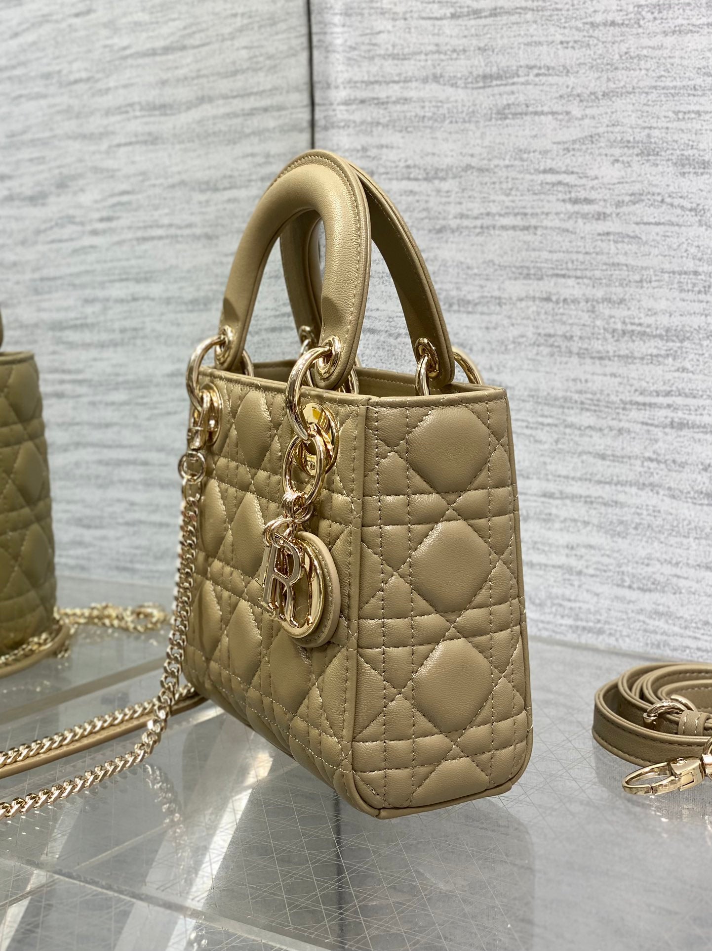 BAG-DIOR-W-LY-748