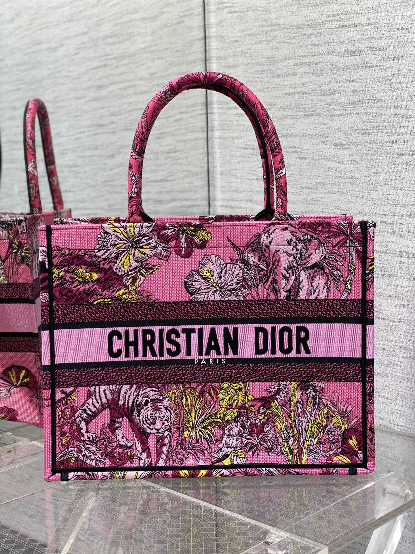 BAG-DIOR-W-LY-866