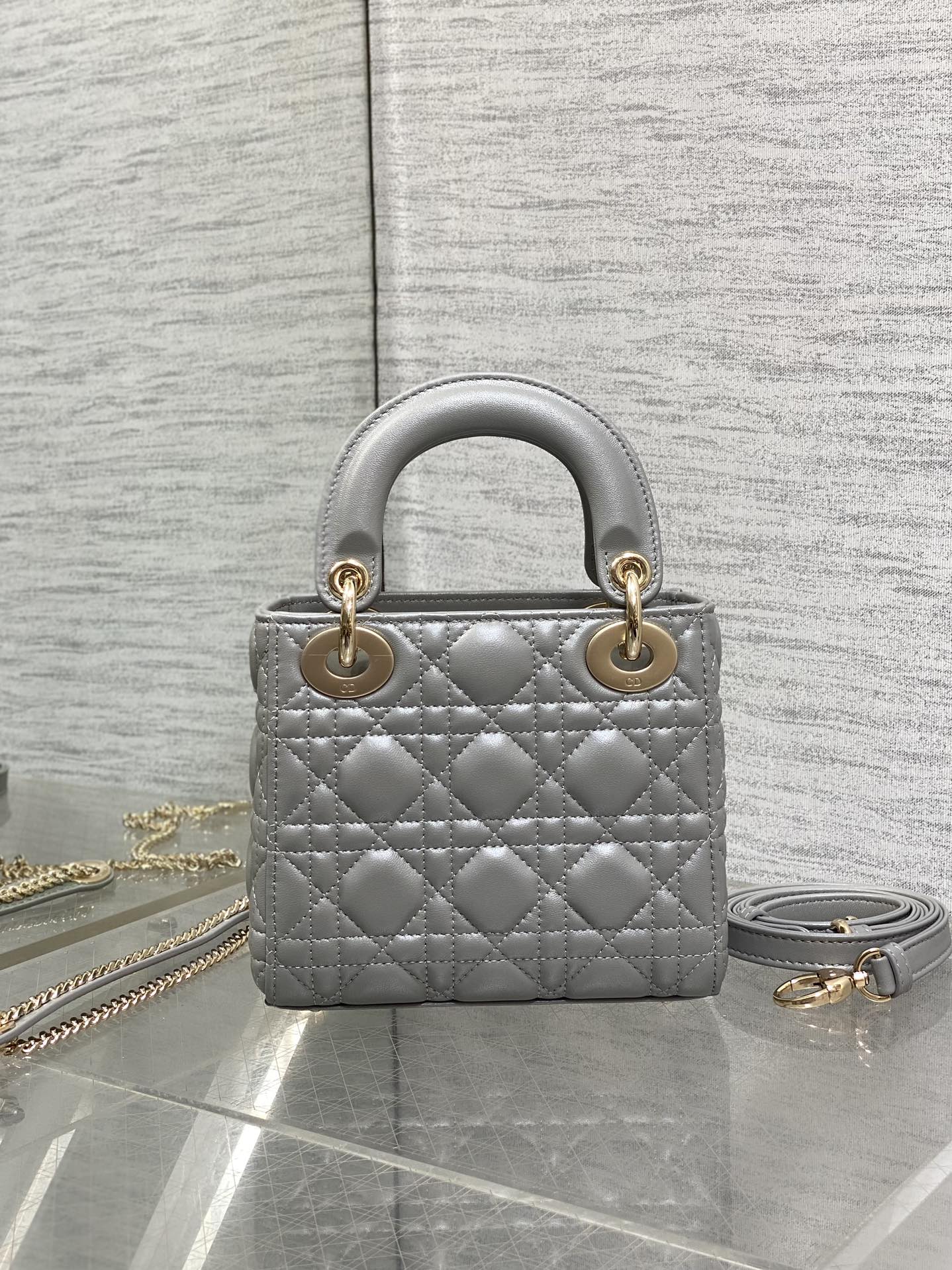 BAG-DIOR-W-LY-757