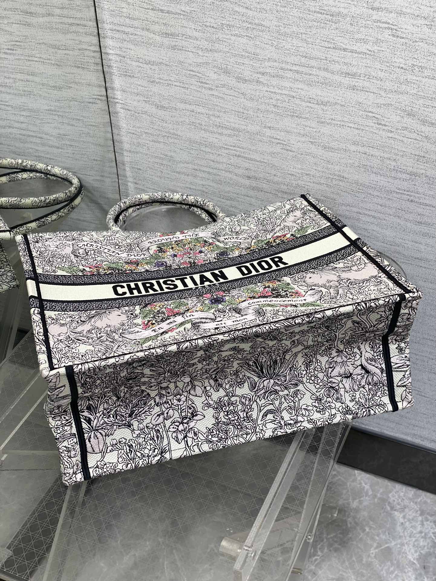 BAG-DIOR-W-LY-844
