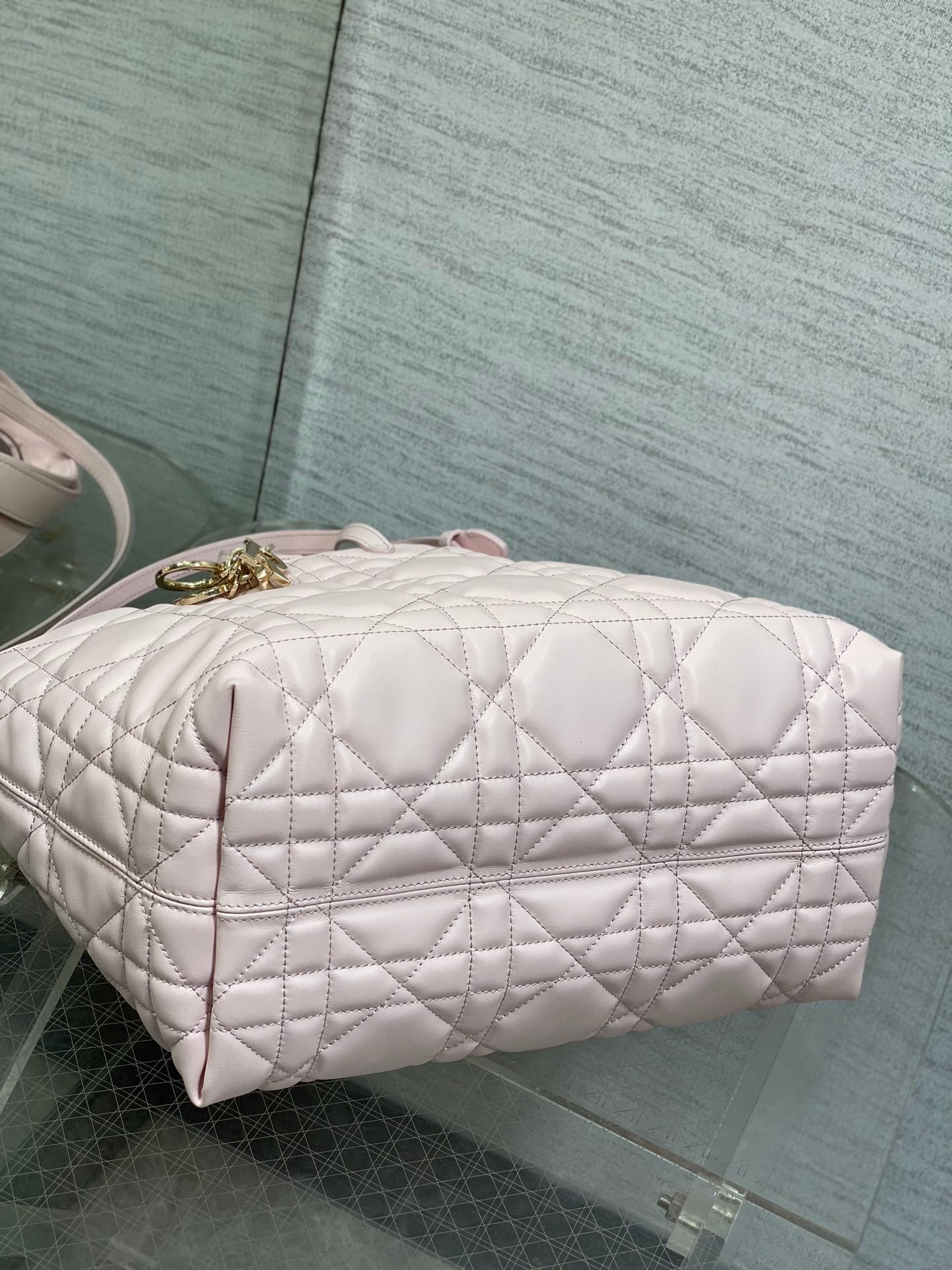 BAG-DIOR-W-LY-272
