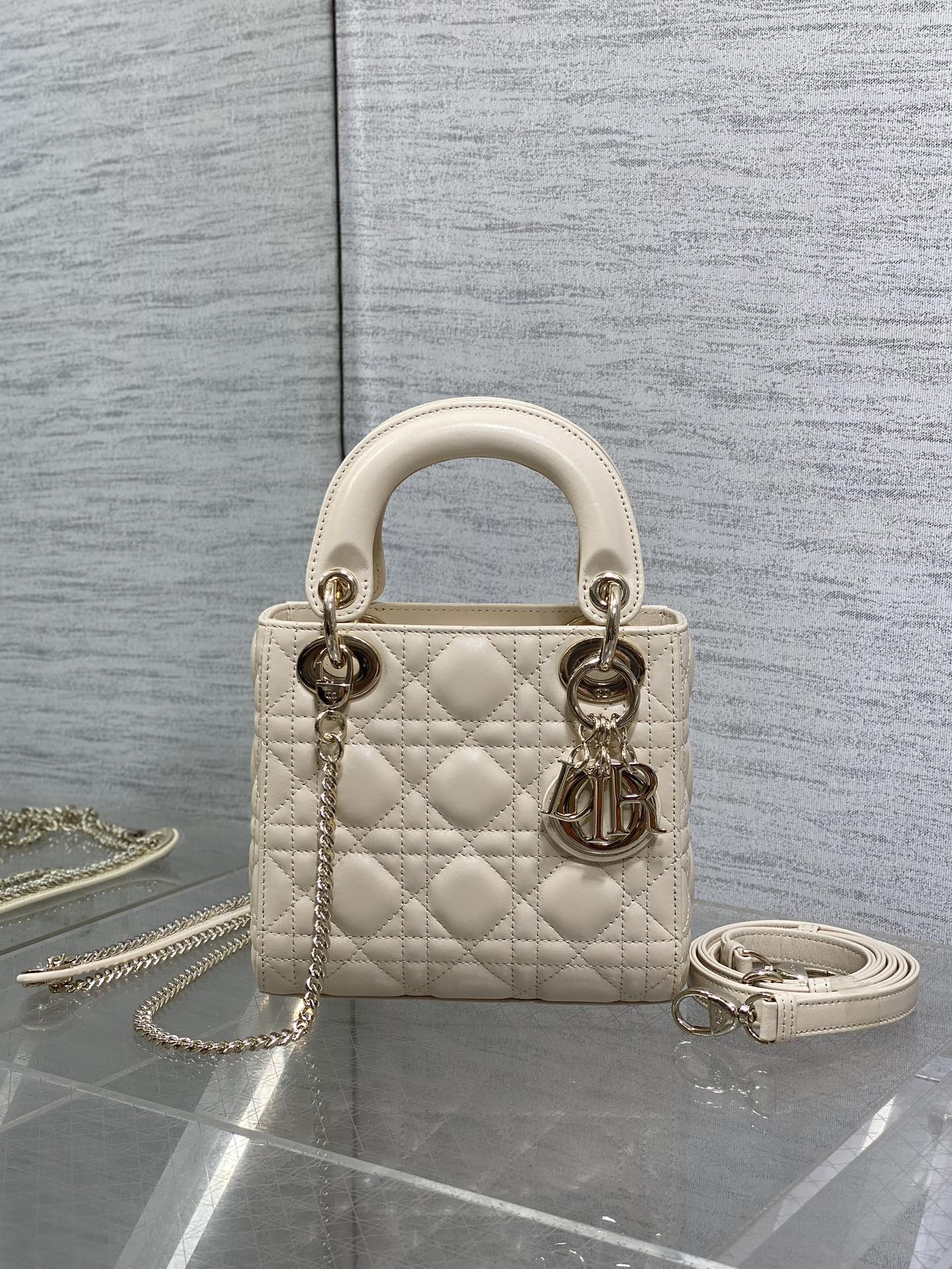 BAG-DIOR-W-LY-736