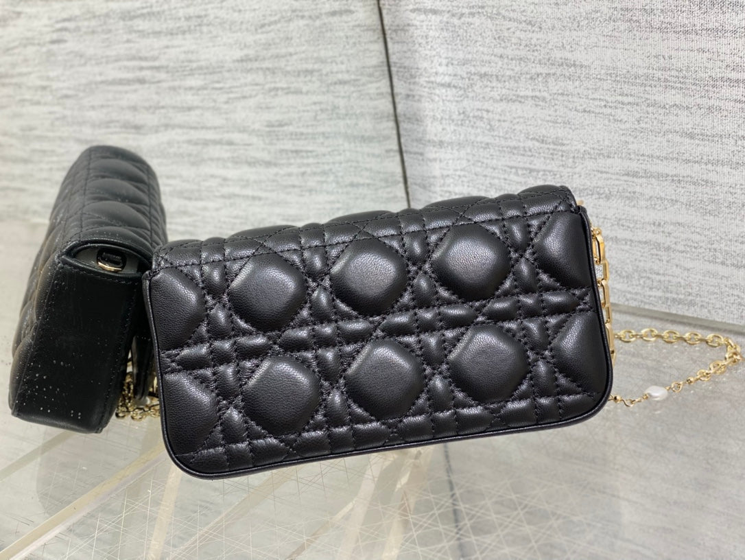 BAG-DIOR-W-LY-038