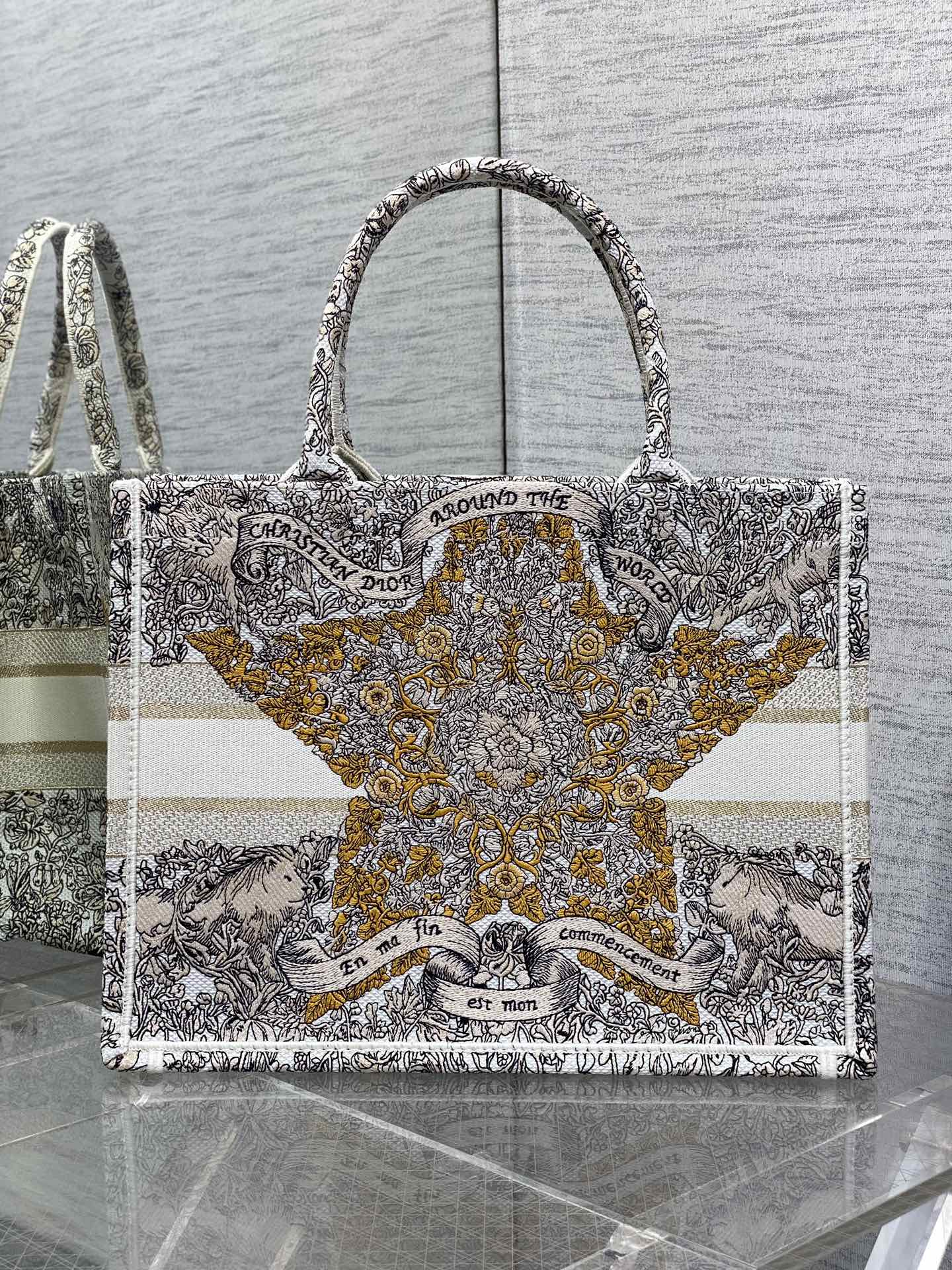 BAG-DIOR-W-LY-849