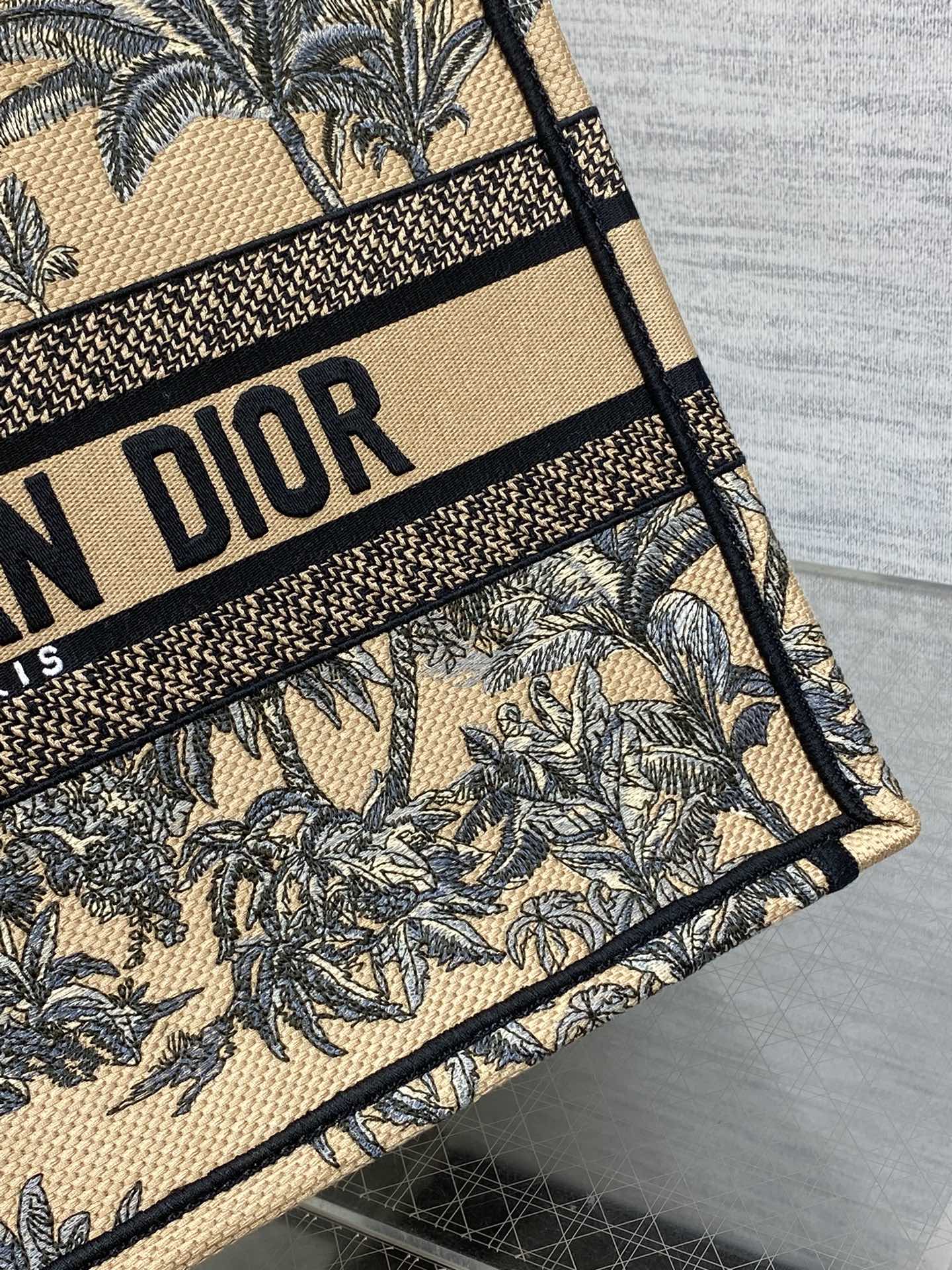 BAG-DIOR-W-LY-204
