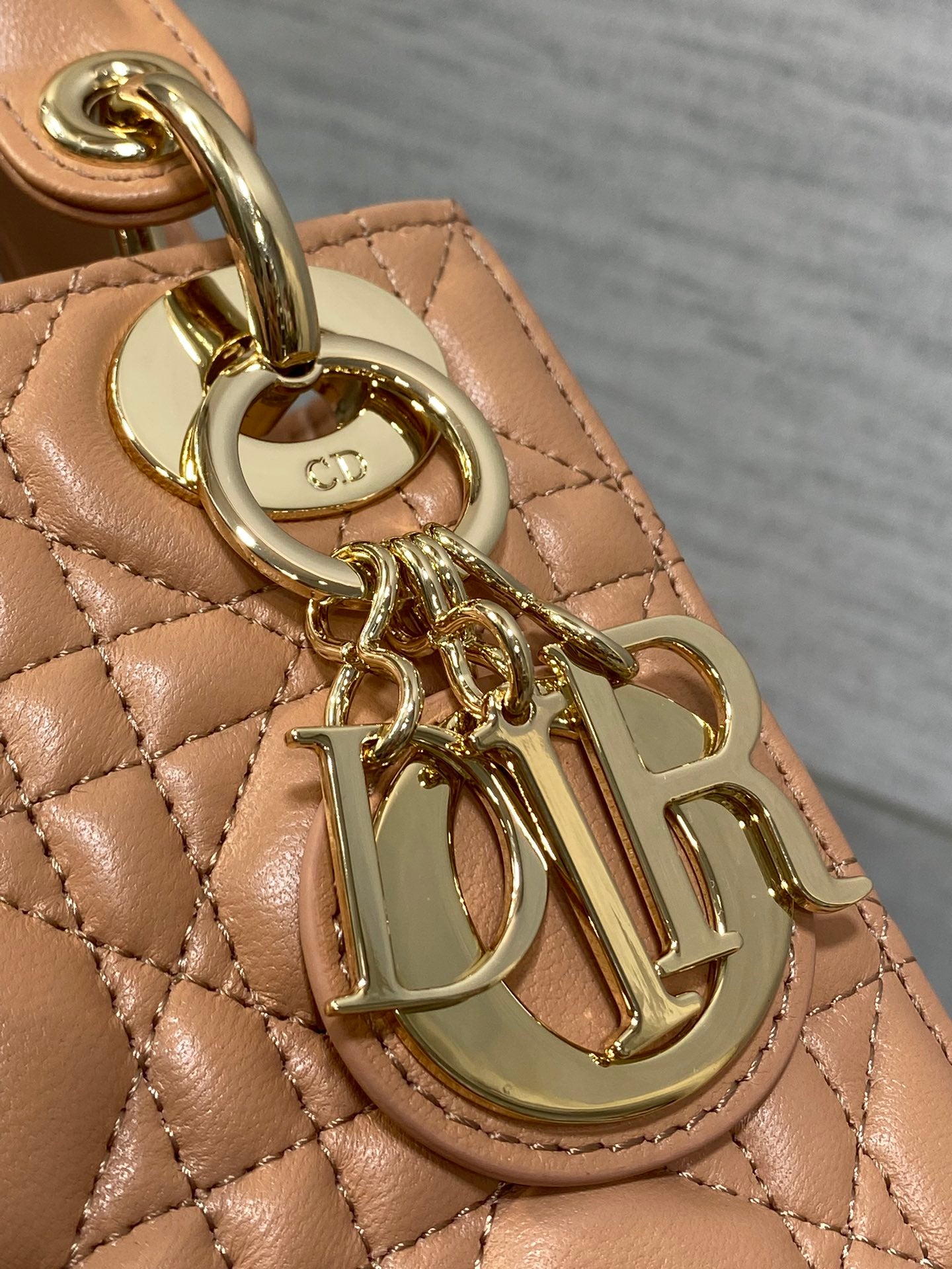 BAG-DIOR-W-LY-753
