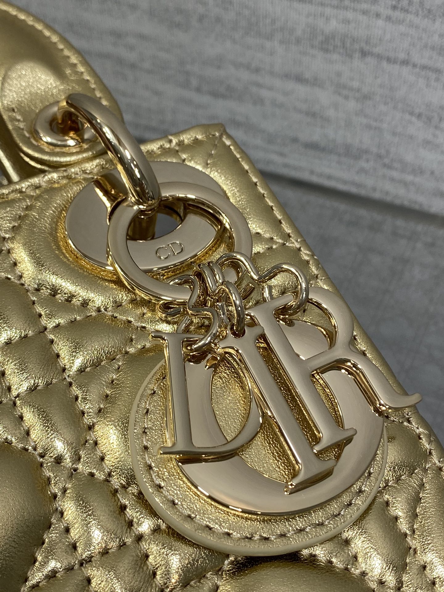 BAG-DIOR-W-LY-718