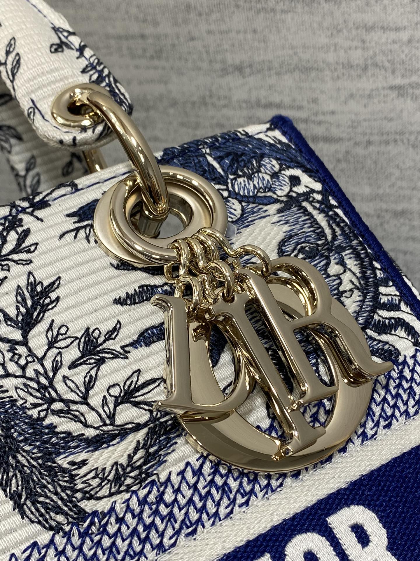 BAG-DIOR-W-LY-451