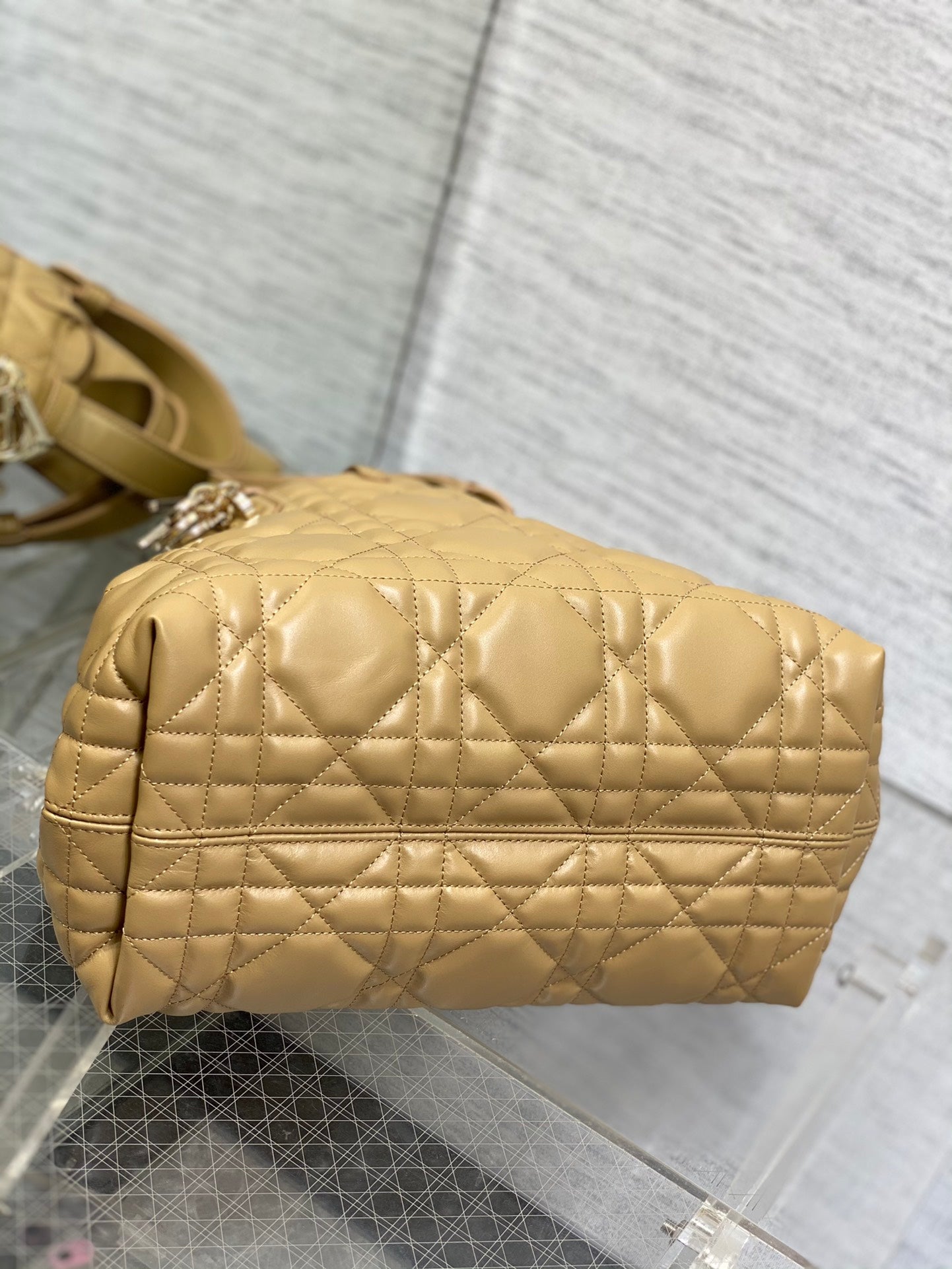BAG-DIOR-W-LY-170