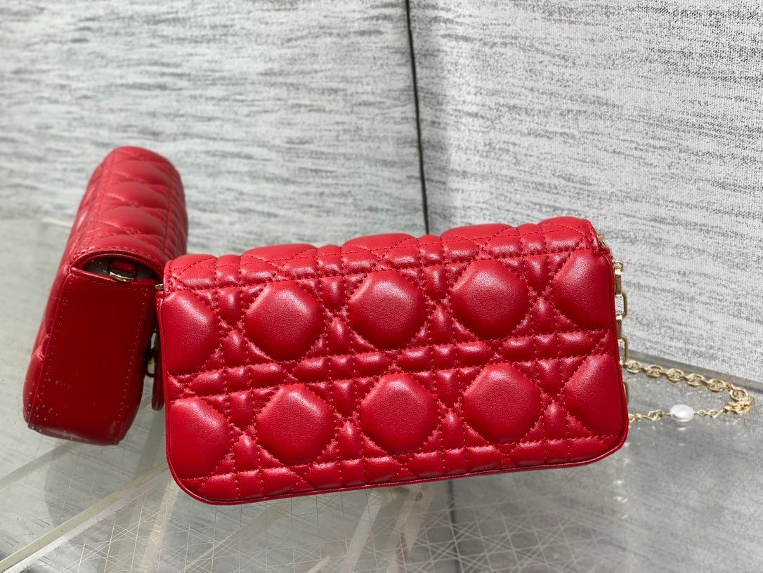 BAG-DIOR-W-LY-034