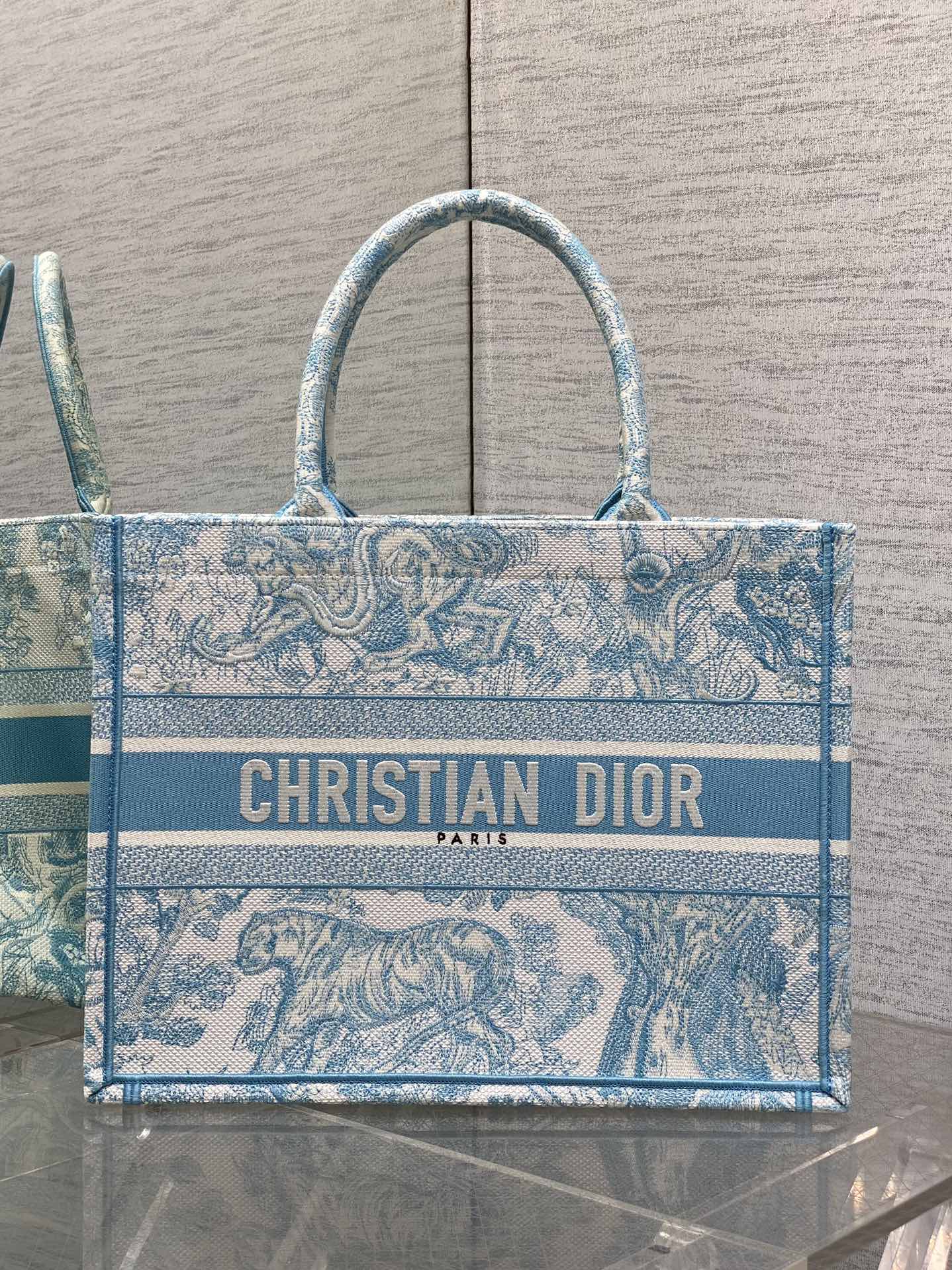 BAG-DIOR-W-LY-933