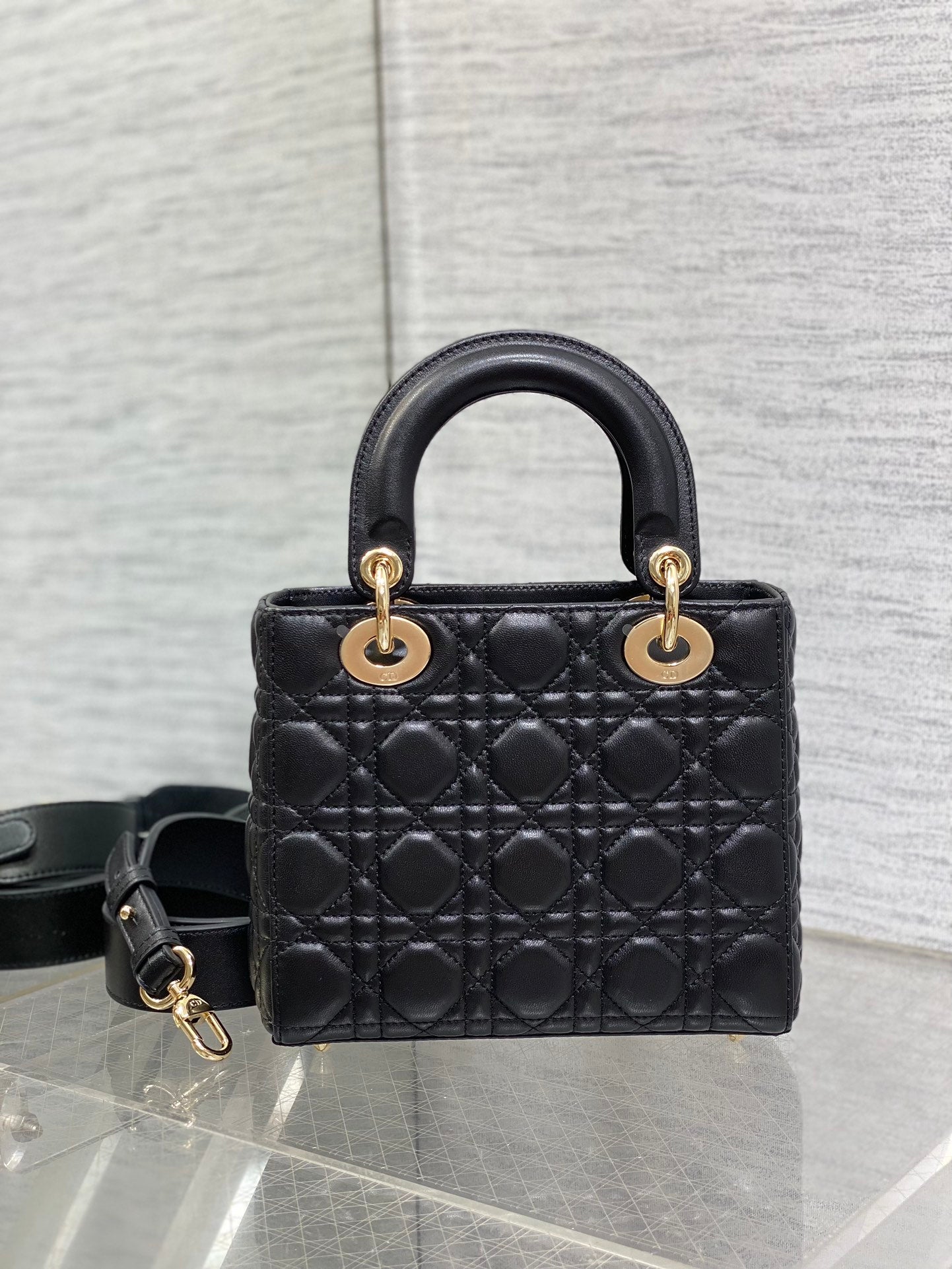 BAG-DIOR-W-LY-163