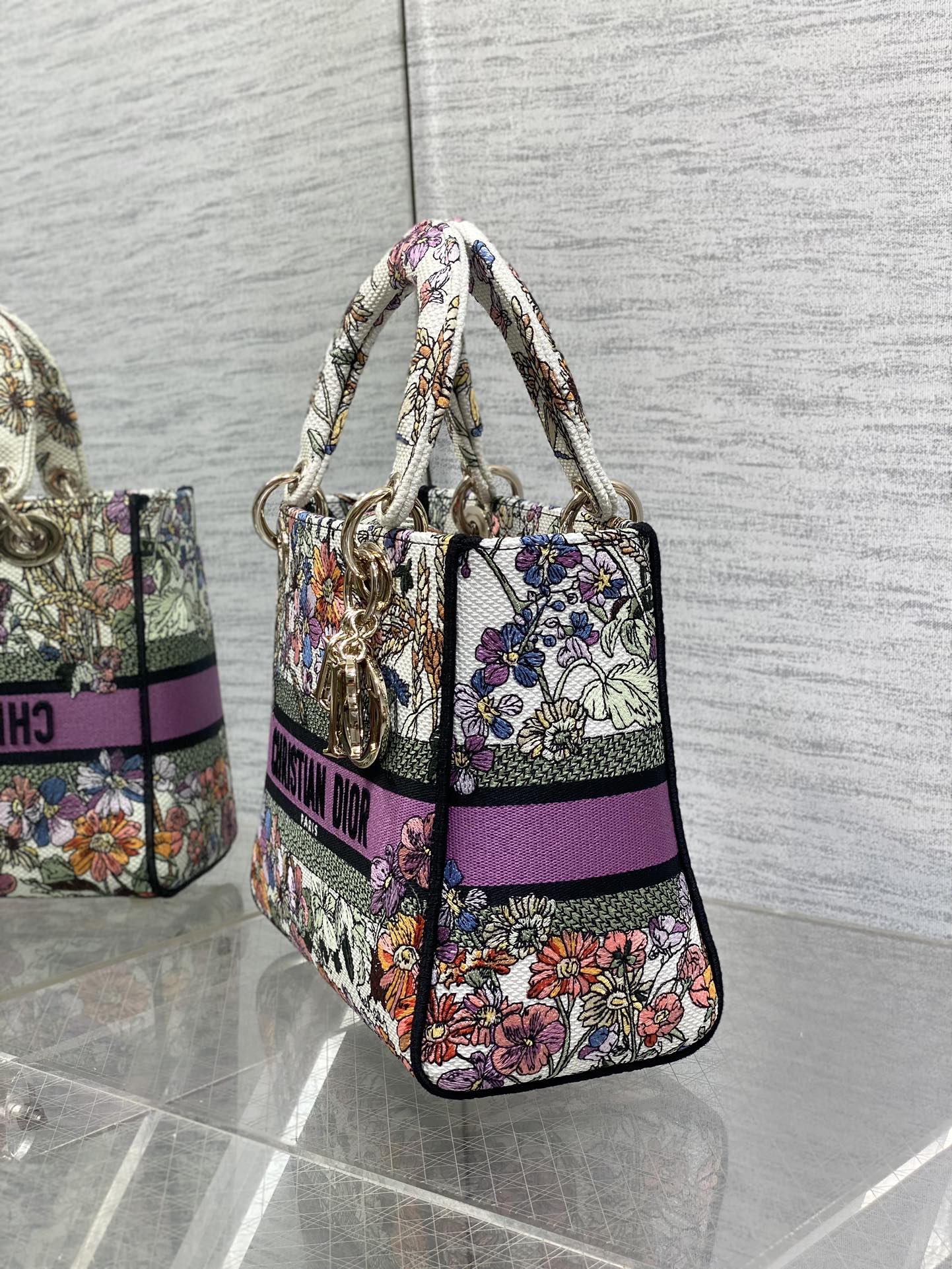 BAG-DIOR-W-LY-073