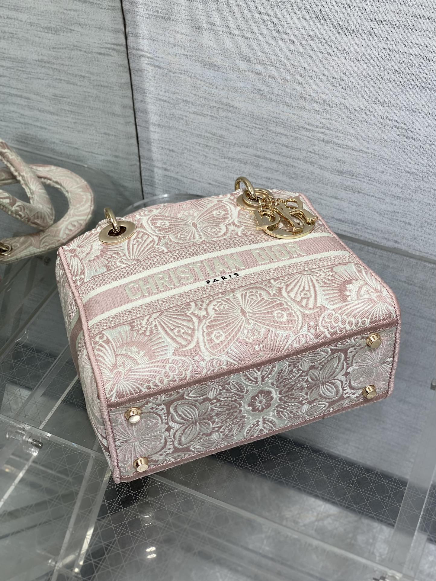 BAG-DIOR-W-LY-503
