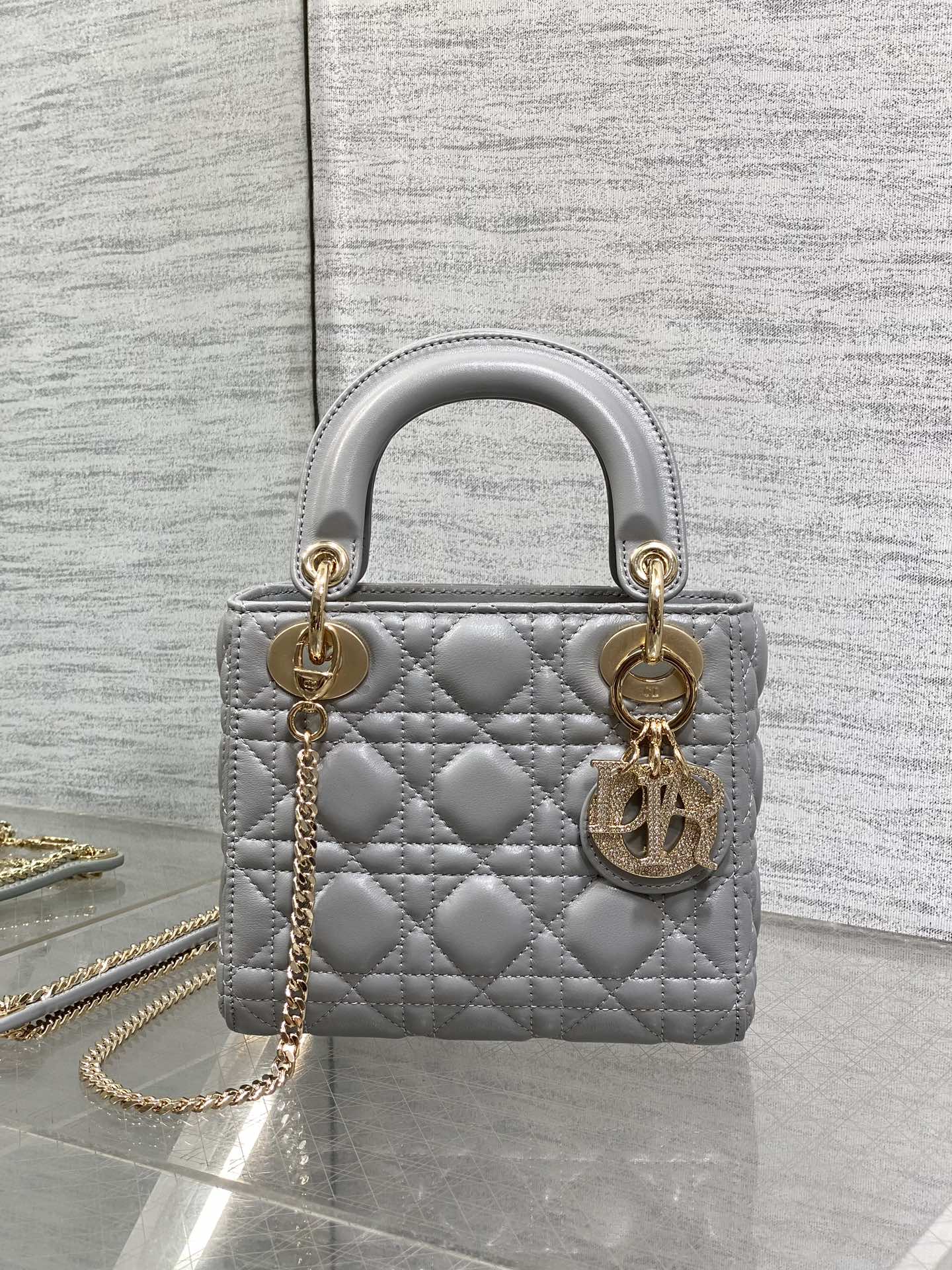 BAG-DIOR-W-LY-743
