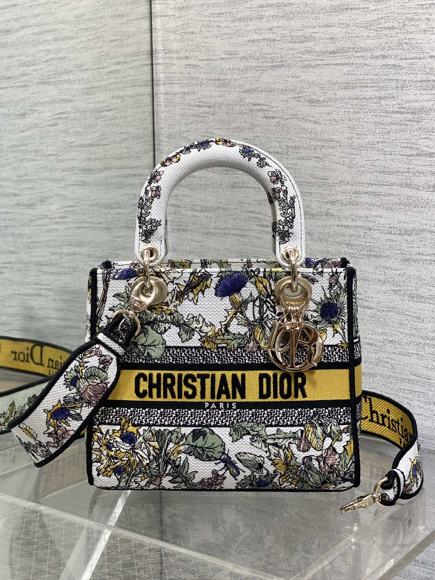 BAG-DIOR-W-LY-077