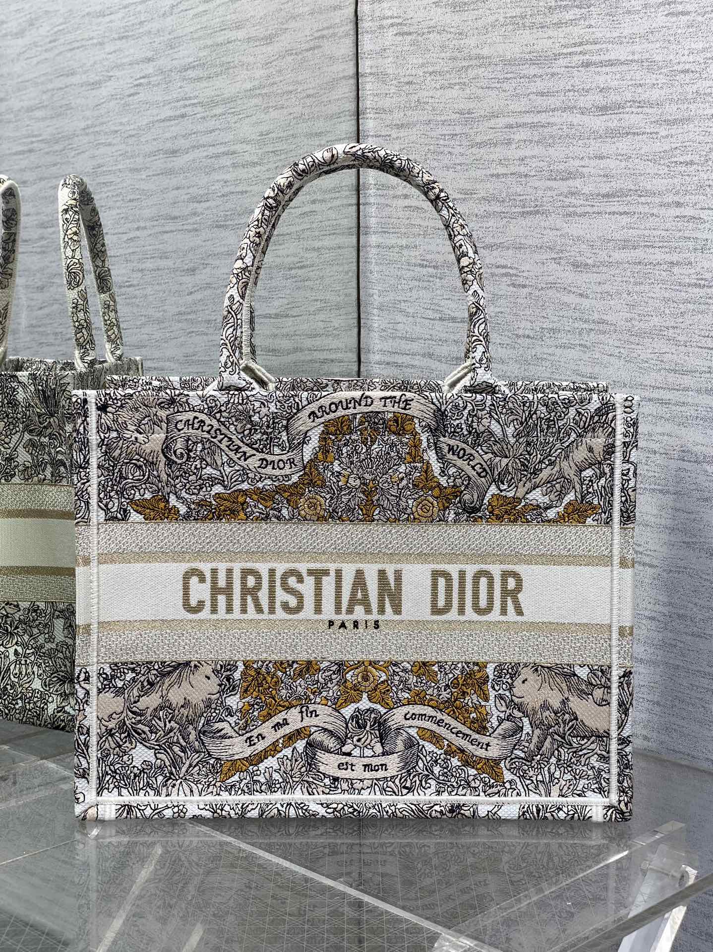 BAG-DIOR-W-LY-196
