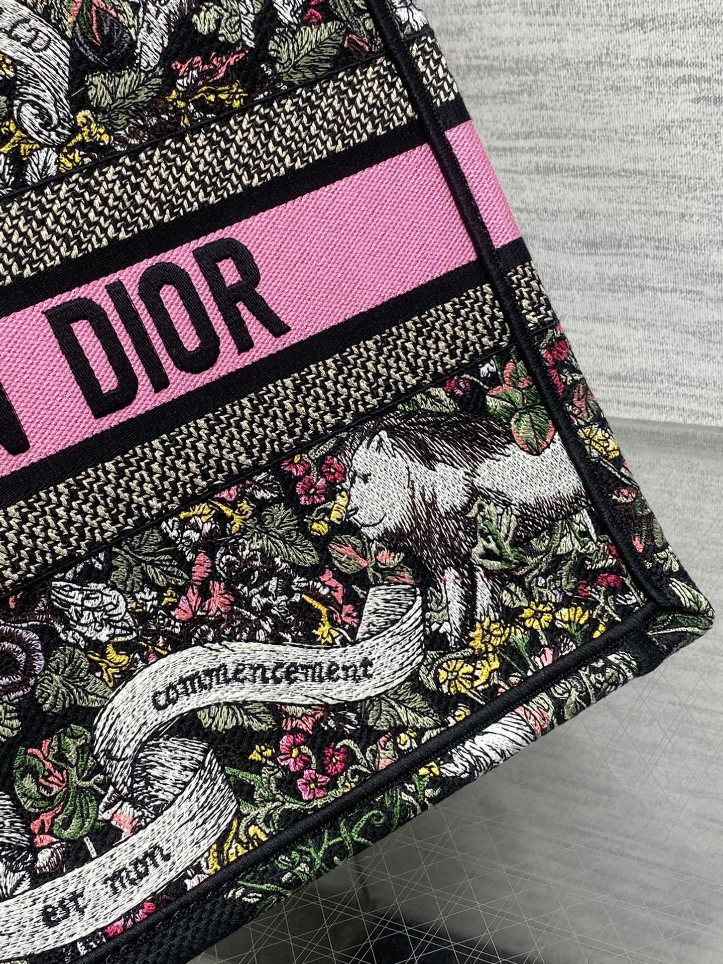 BAG-DIOR-W-LY-202