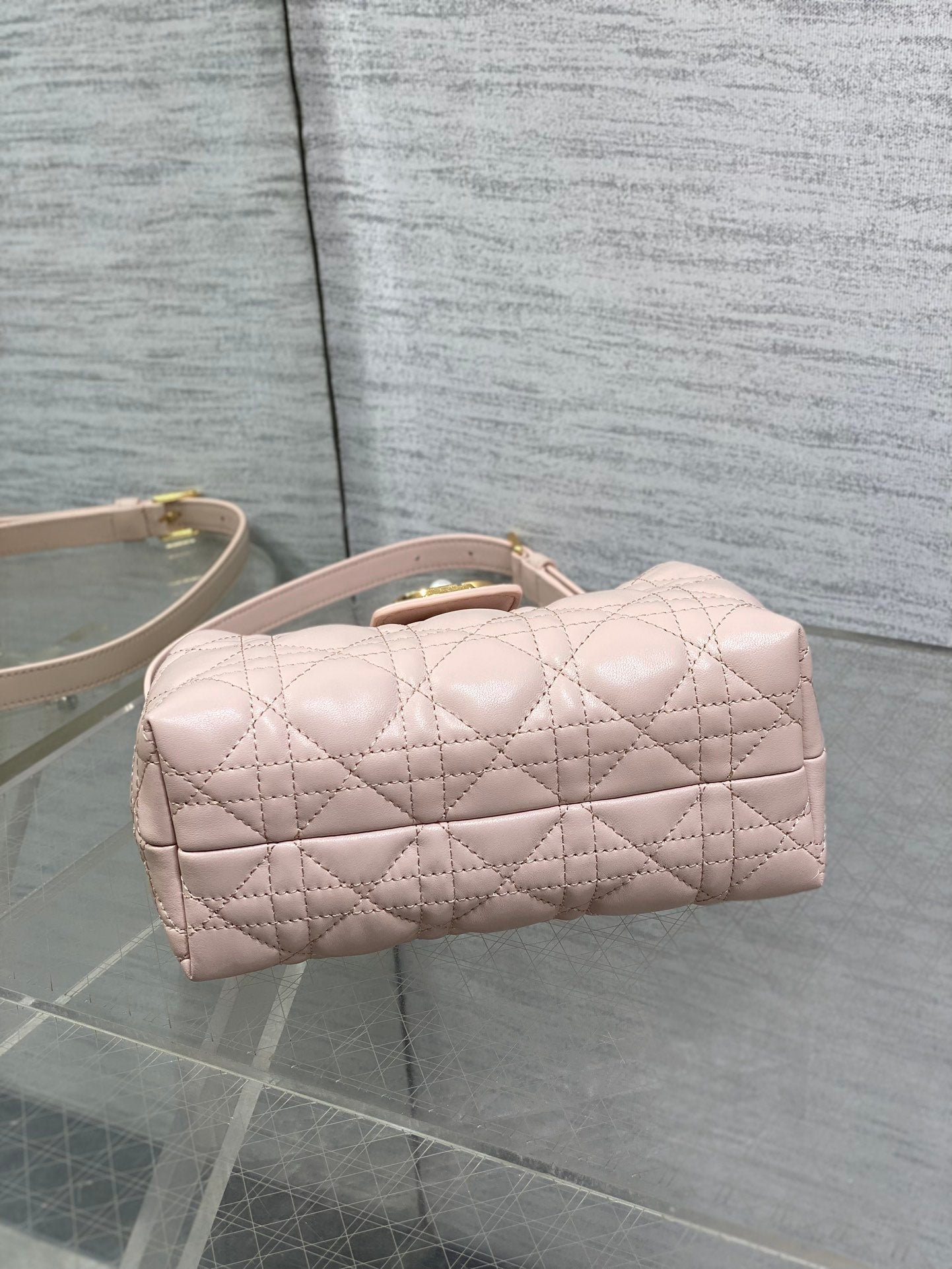 BAG-DIOR-W-LY-019