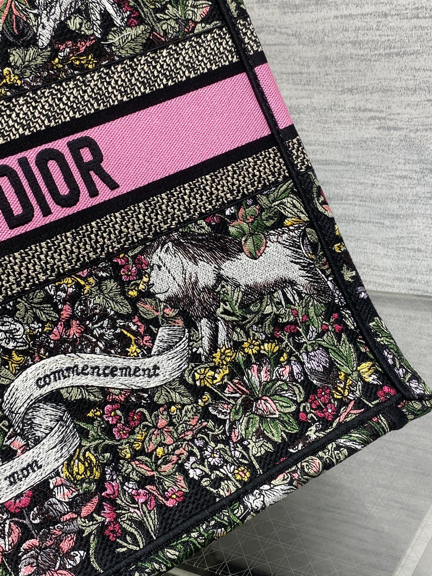 BAG-DIOR-W-LY-873