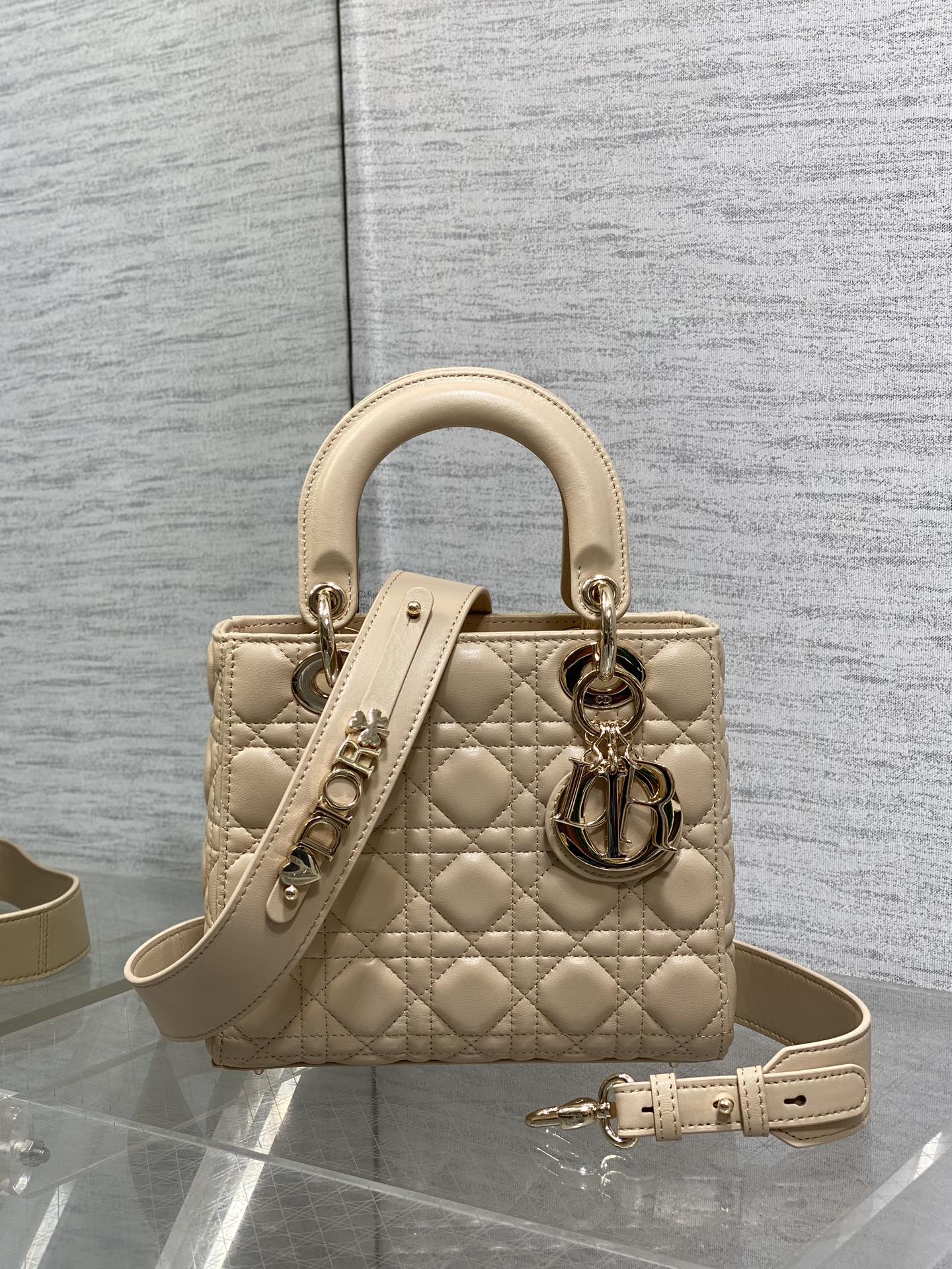 BAG-DIOR-W-LY-769
