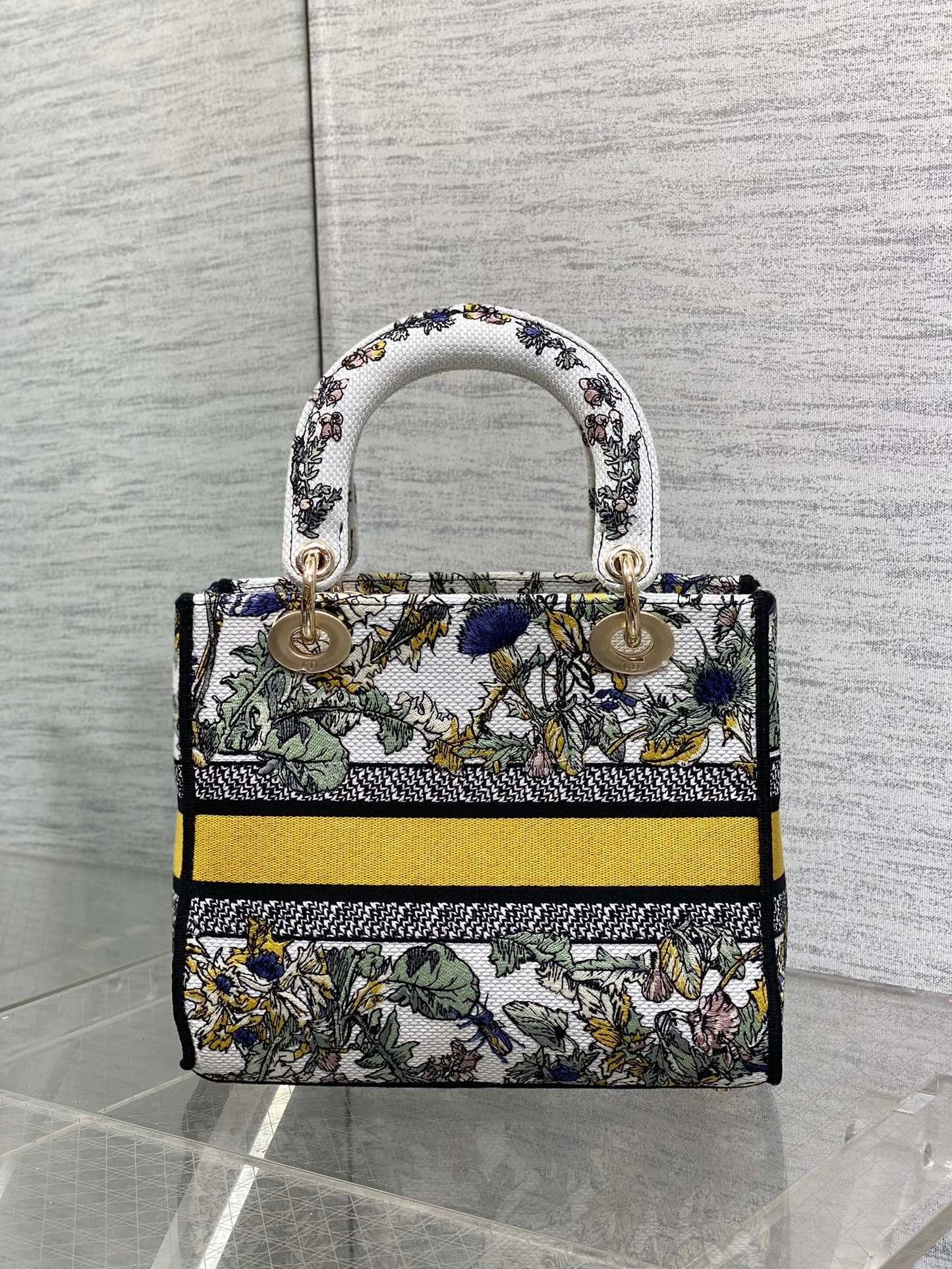 BAG-DIOR-W-LY-077