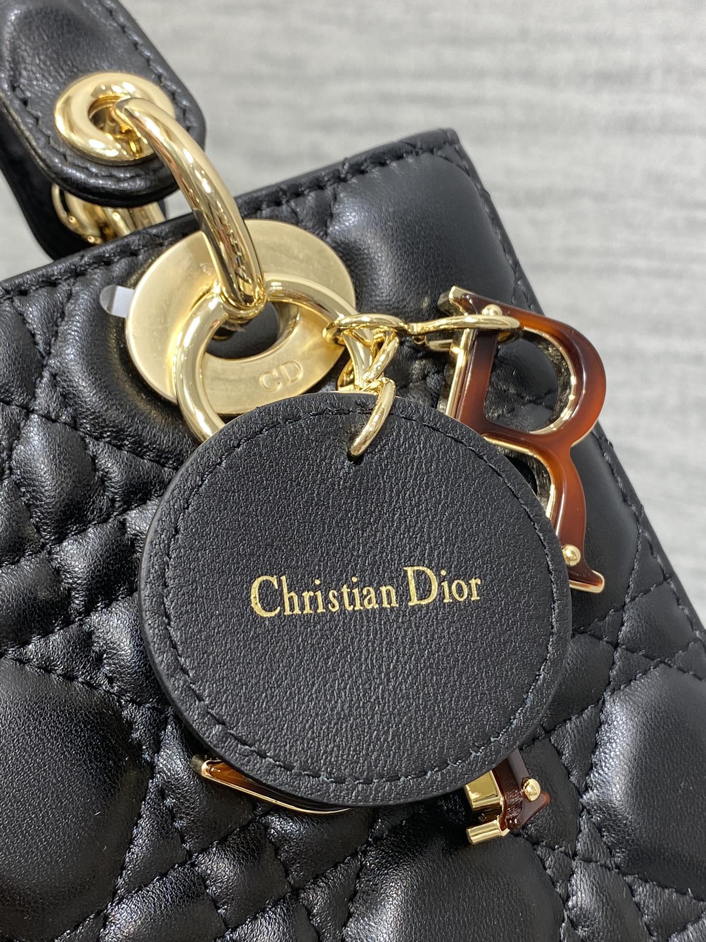 BAG-DIOR-W-LY-008