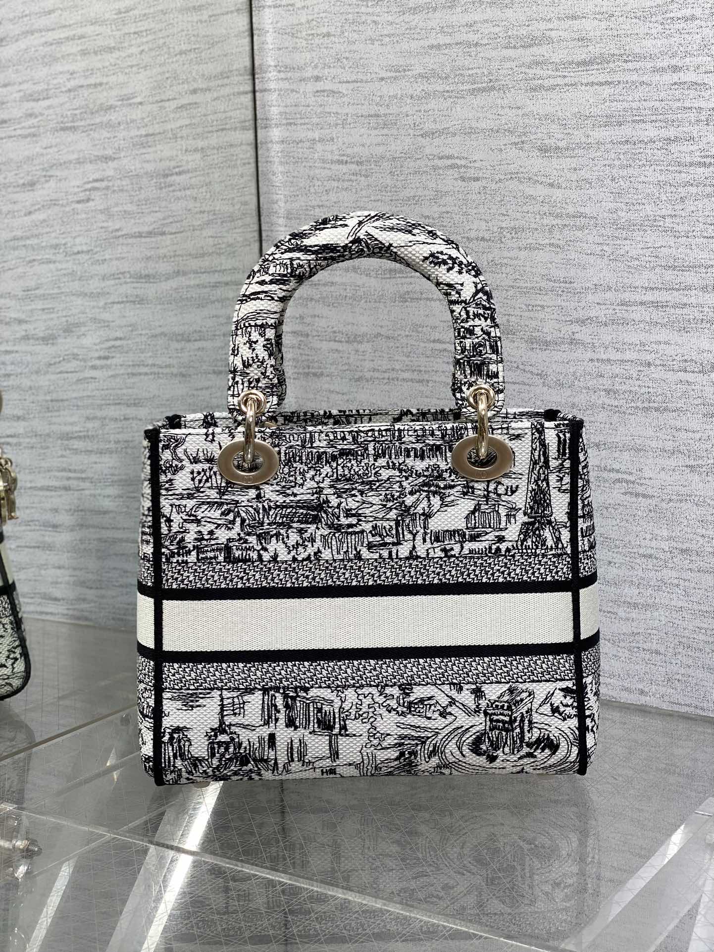 BAG-DIOR-W-LY-491