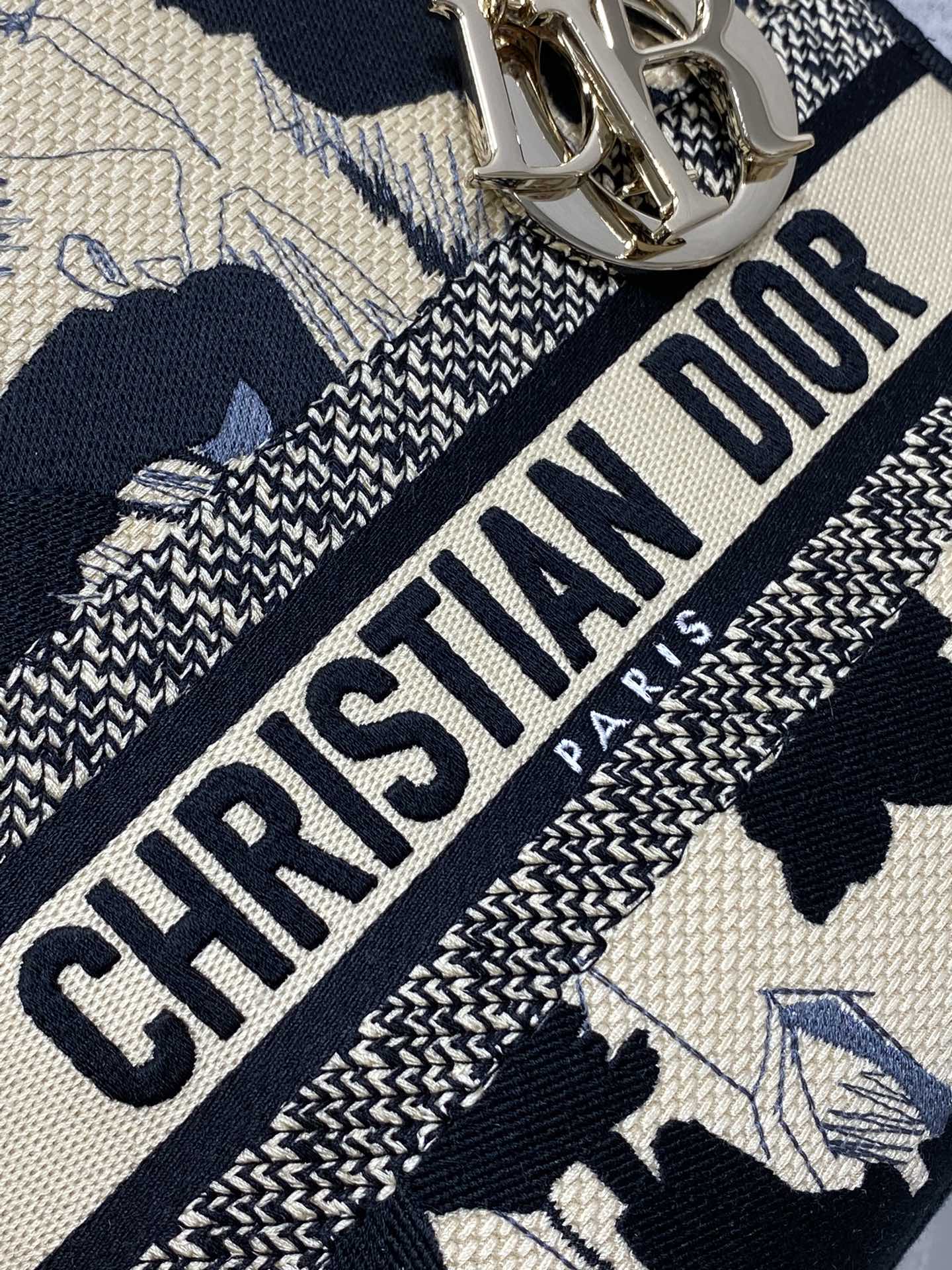 BAG-DIOR-W-LY-493
