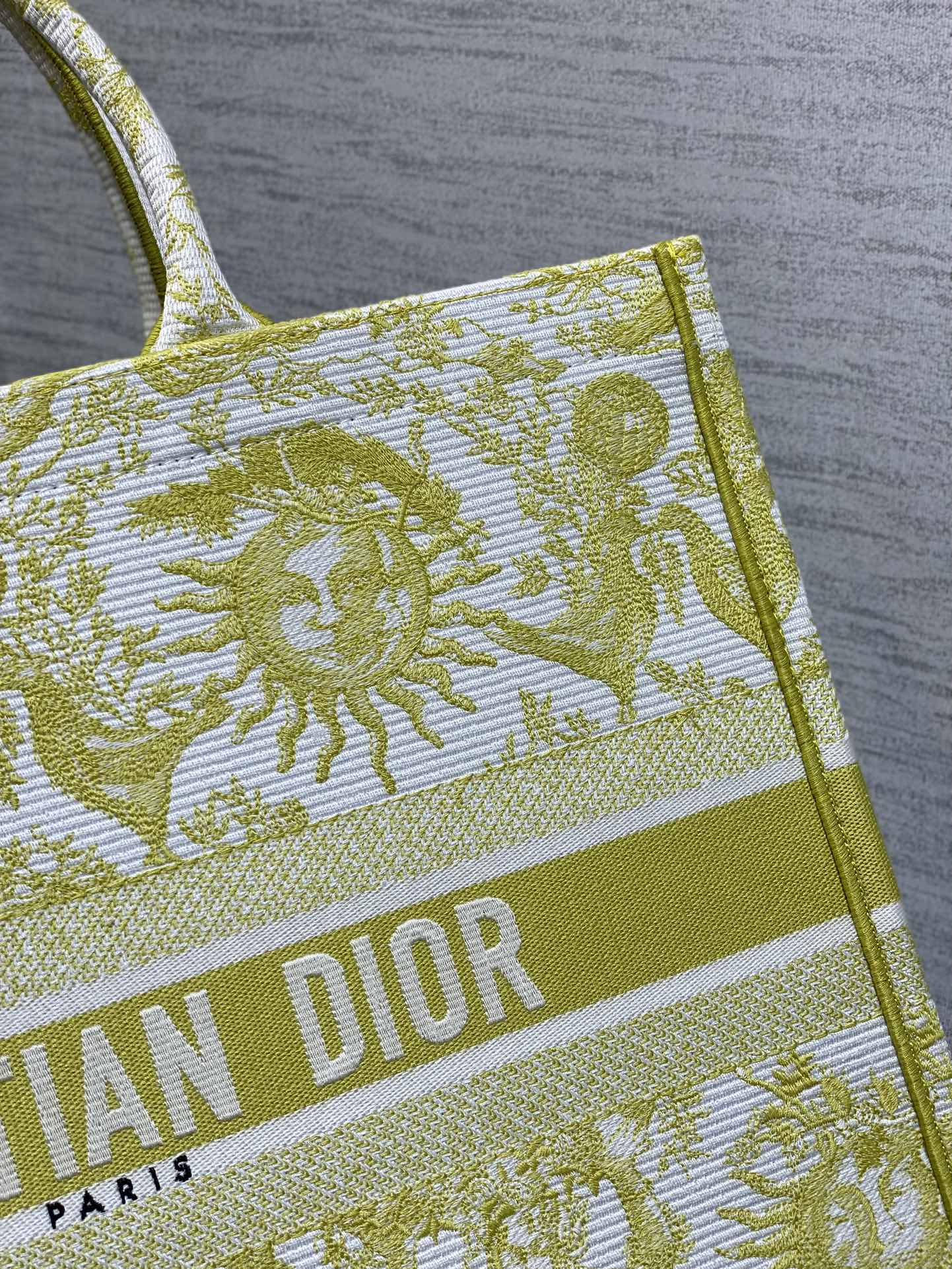 BAG-DIOR-W-LY-836