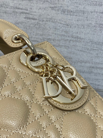 BAG-DIOR-W-LY-527