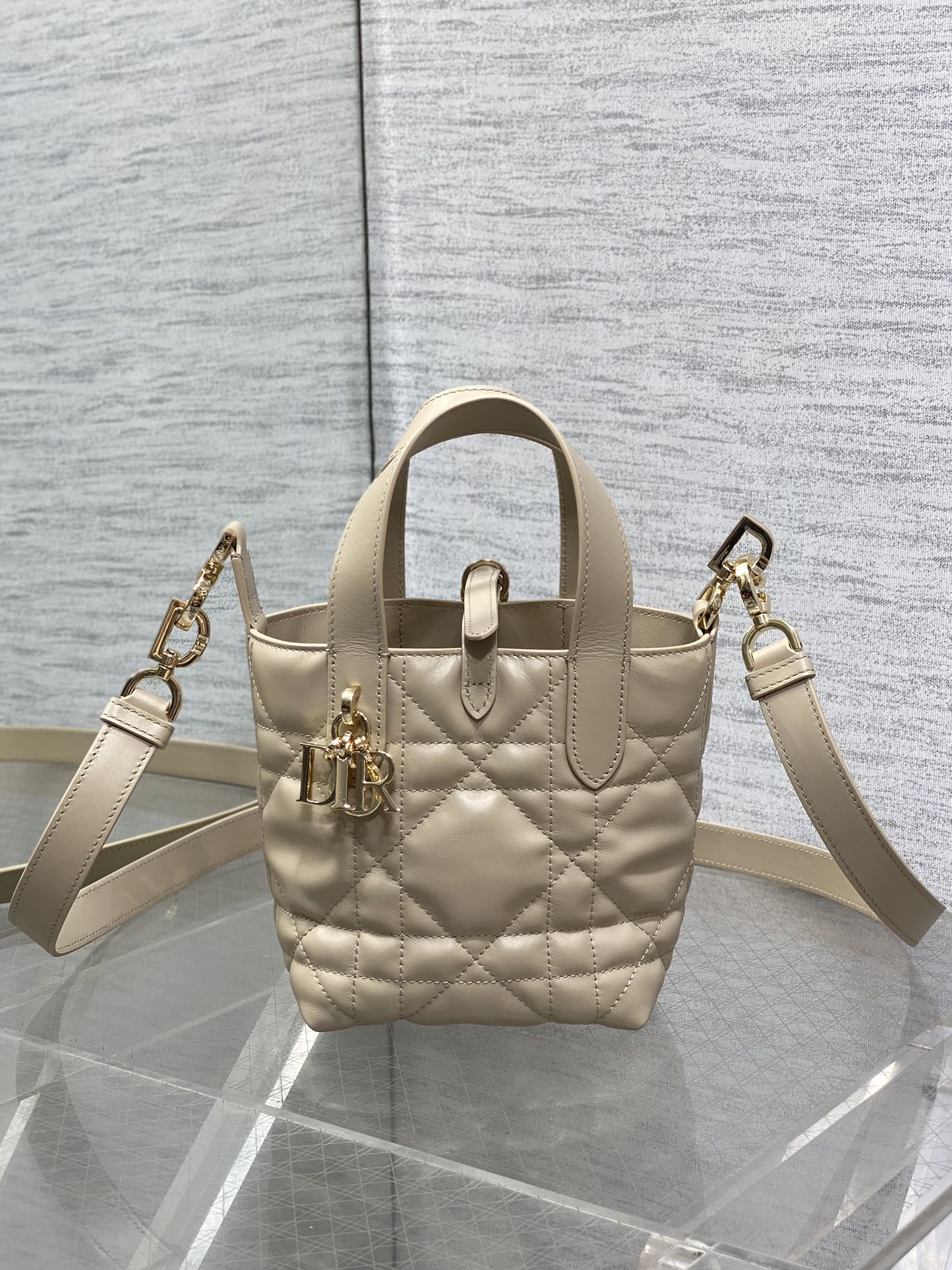 BAG-DIOR-W-LY-058