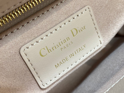 BAG-DIOR-W-LY-189