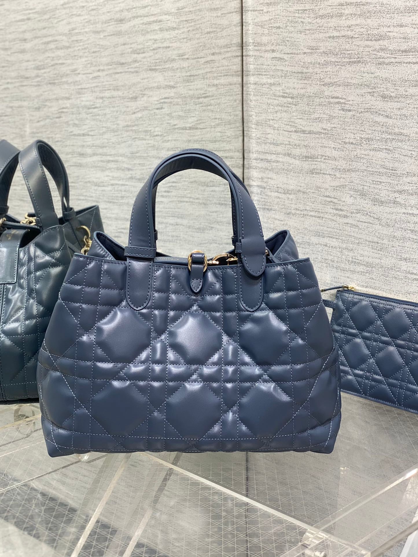BAG-DIOR-W-LY-156