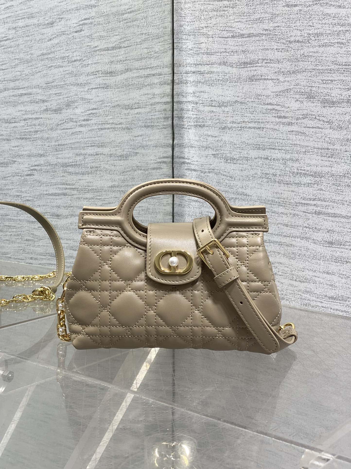 BAG-DIOR-W-LY-024