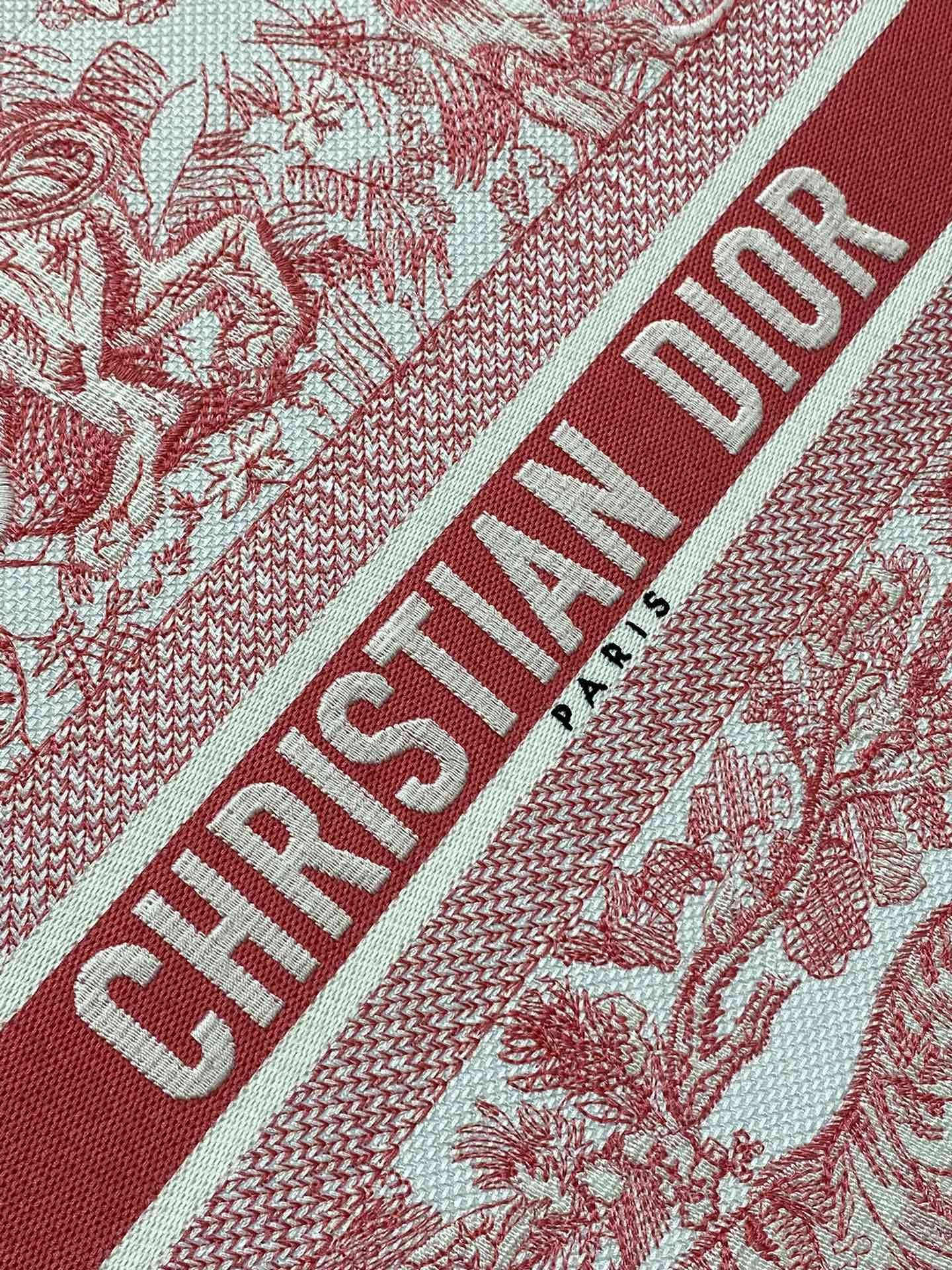 BAG-DIOR-W-LY-191