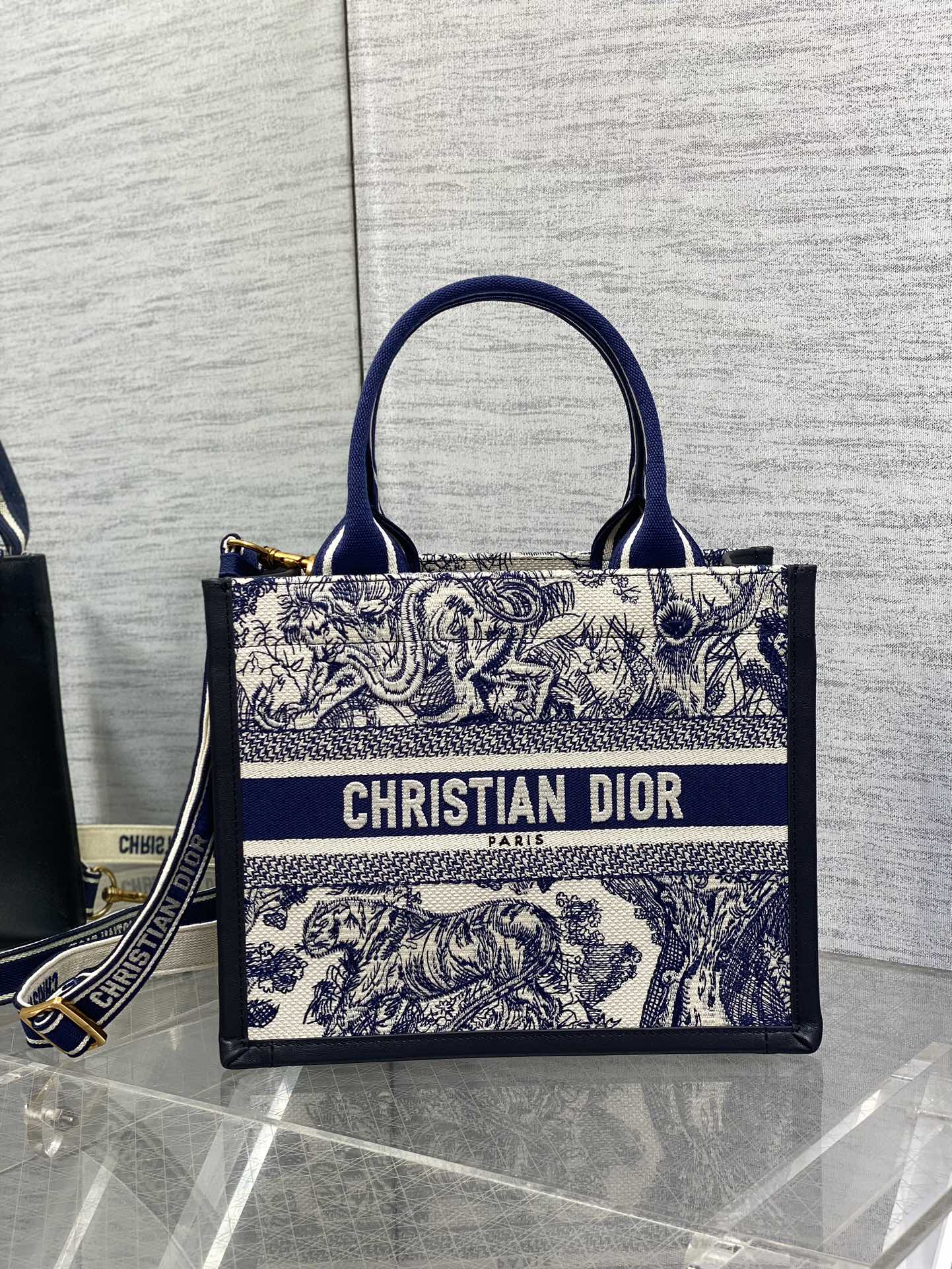 BAG-DIOR-W-LY-832