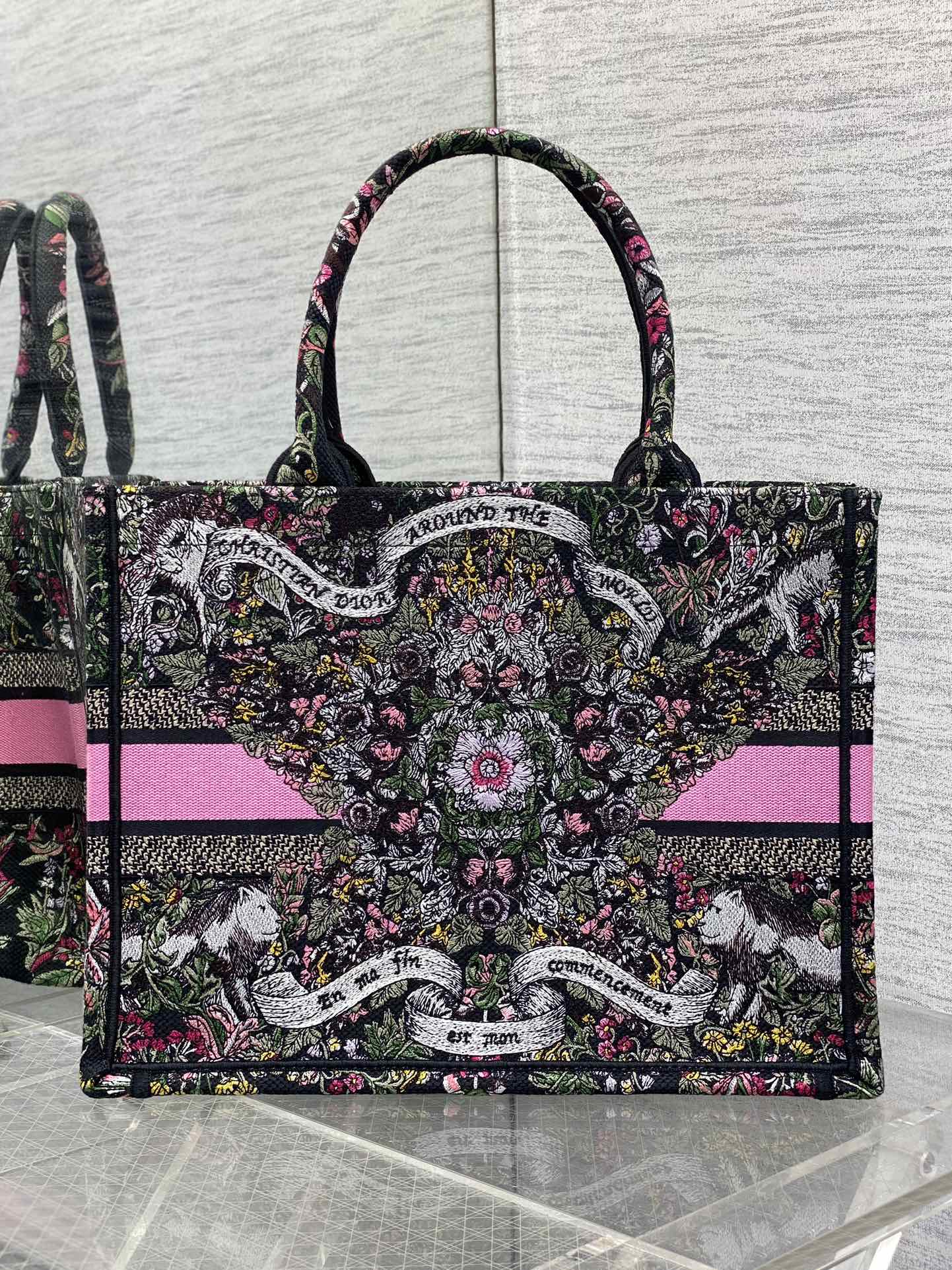 BAG-DIOR-W-LY-202