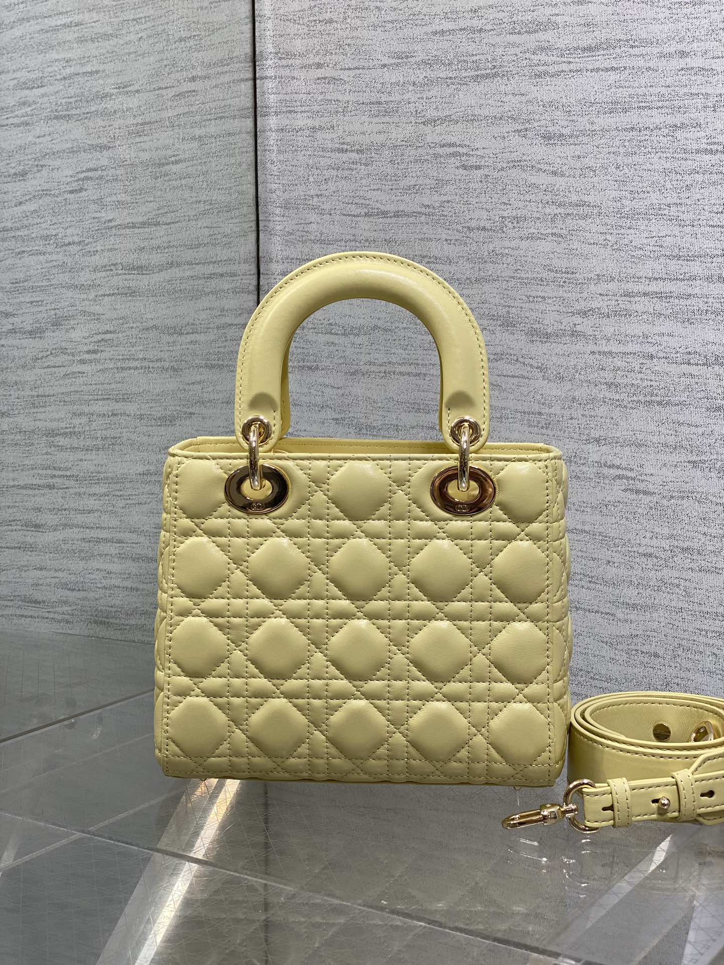 BAG-DIOR-W-LY-713