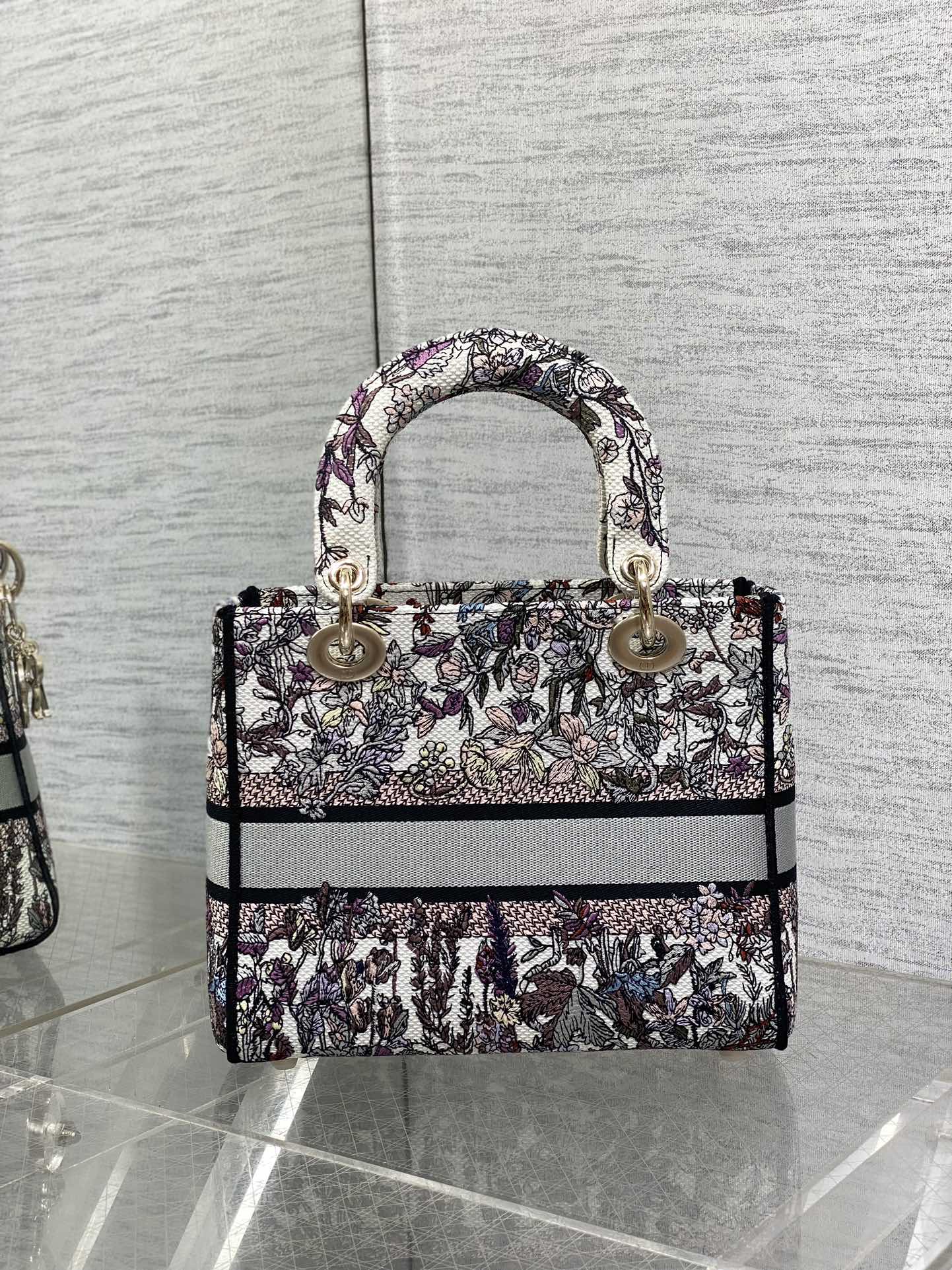 BAG-DIOR-W-LY-072