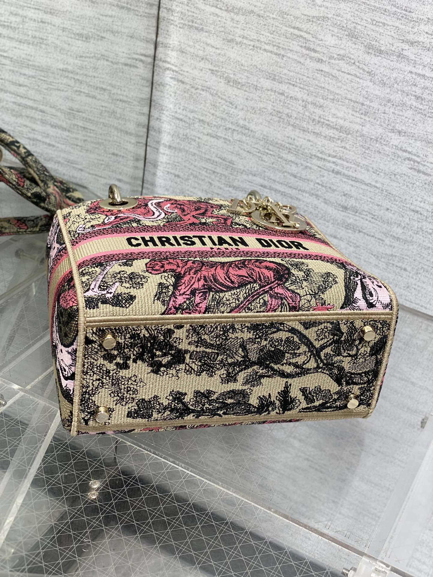 BAG-DIOR-W-LY-071