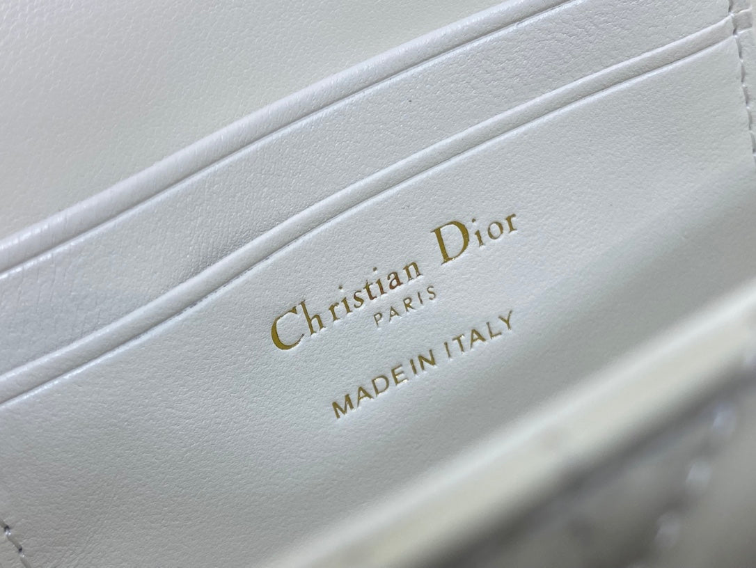 BAG-DIOR-W-LY-046